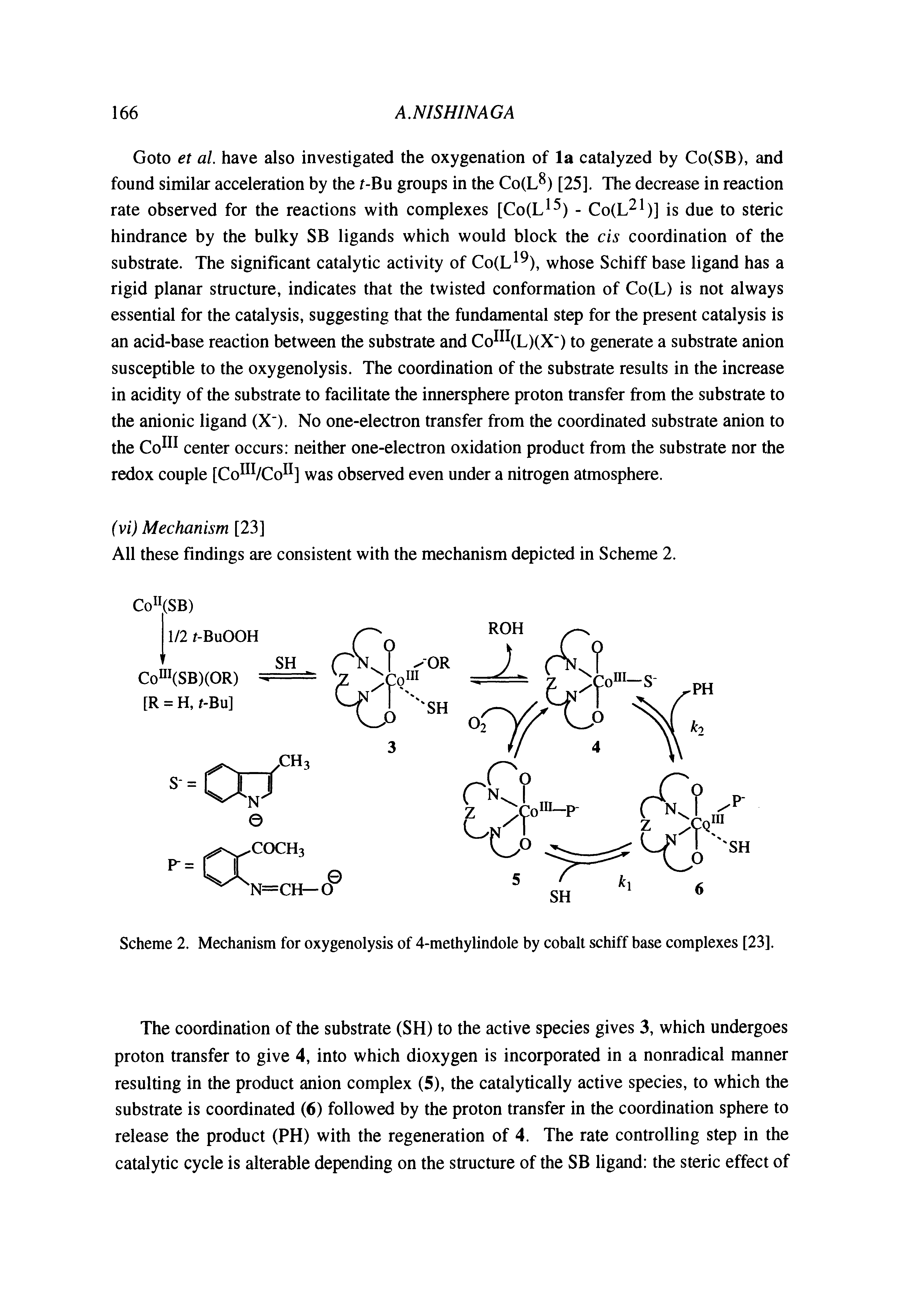 Scheme 2. Mechanism for oxygenolysis of 4-methylindole by cobalt schiff base complexes [23].