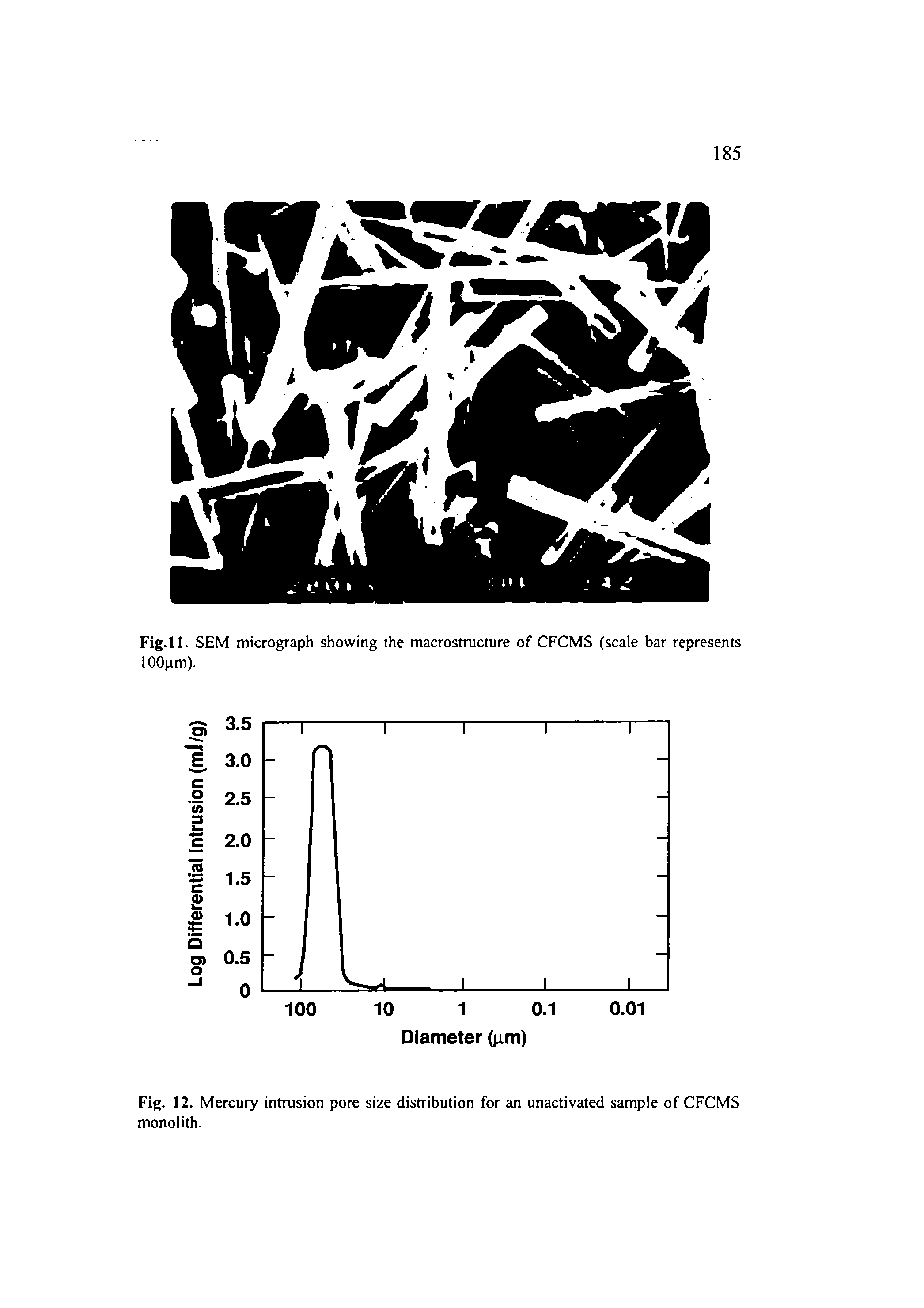 Fig. 12. Mercury intrusion pore size distribution for an unactivated sample of CFCMS monolith.