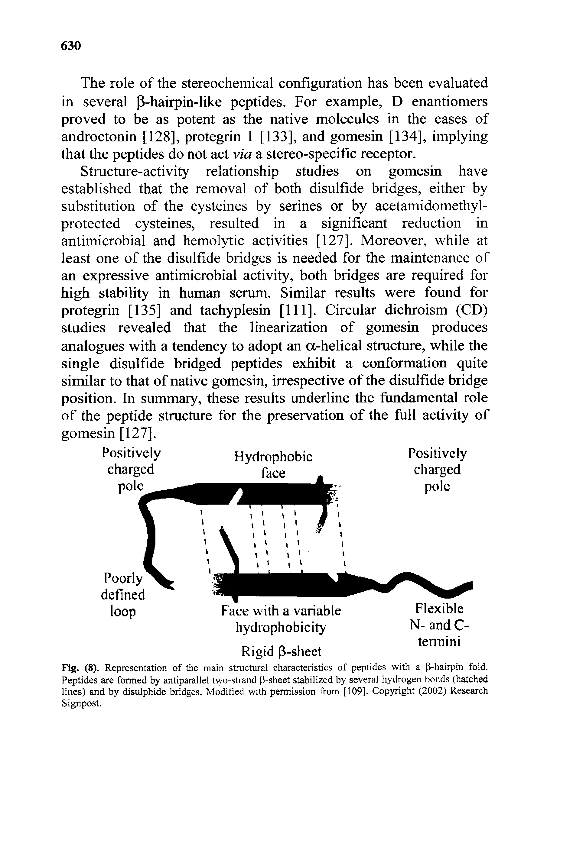 Fig. (8). Representation of the main structural characteristics of peptides with a p-hairpin fold. Peptides are formed by antiparallel two-strand P-sheet stabilized by several hydrogen bonds (hatched lines) and by disulphide bridges. Modified with permission from [109]. Copyright (2002) Research Signpost.