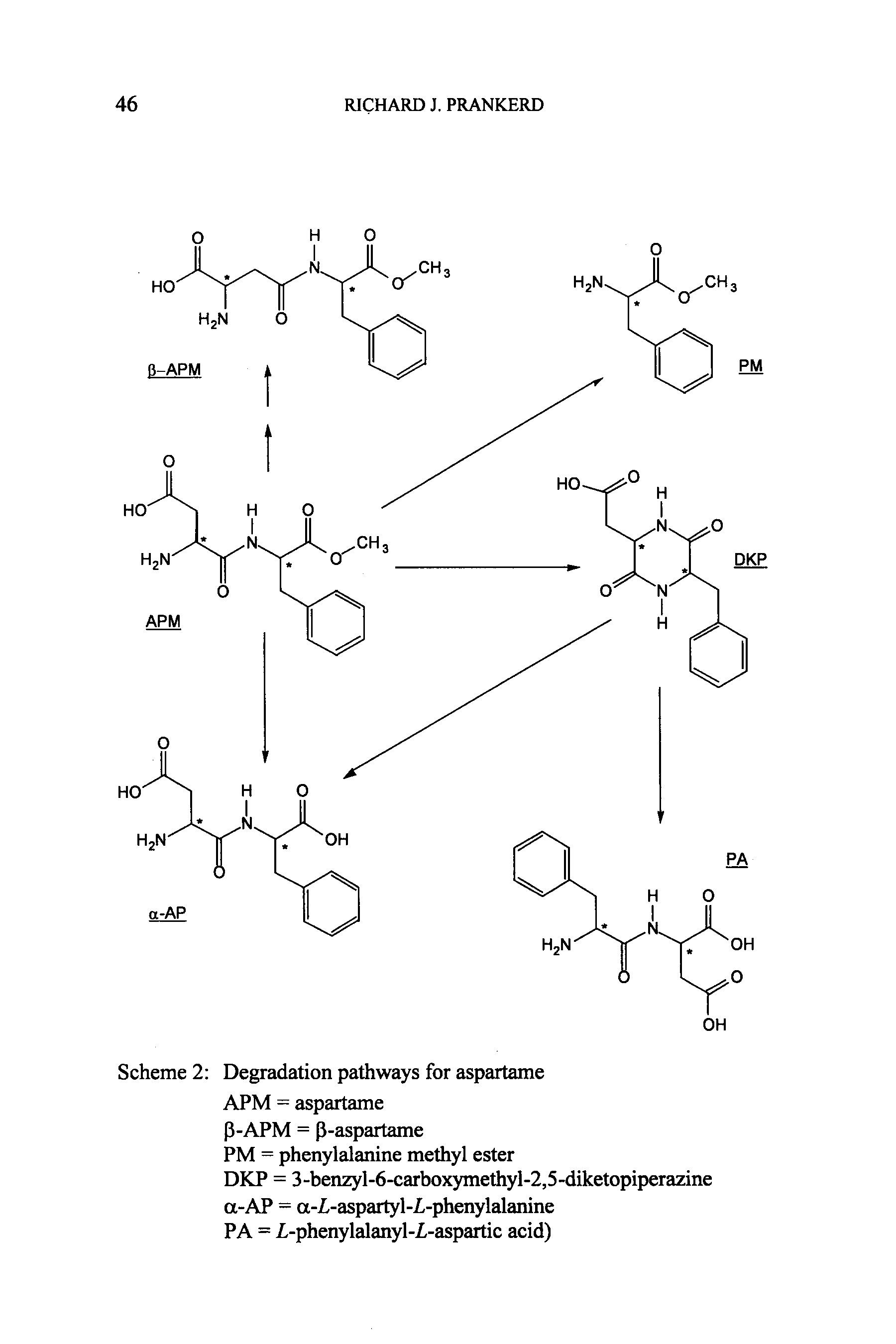 Scheme 2 Degradation pathways for aspartame APM = aspartame P-APM = P-aspartame PM = phenylalanine methyl ester DKP = 3-benzyl-6-carboxymethyl-2,5-diketopiperazine a-AP = a-L-aspartyl-Z,-phenylalanine PA = L-phenylalanyl-I-aspartic acid)...