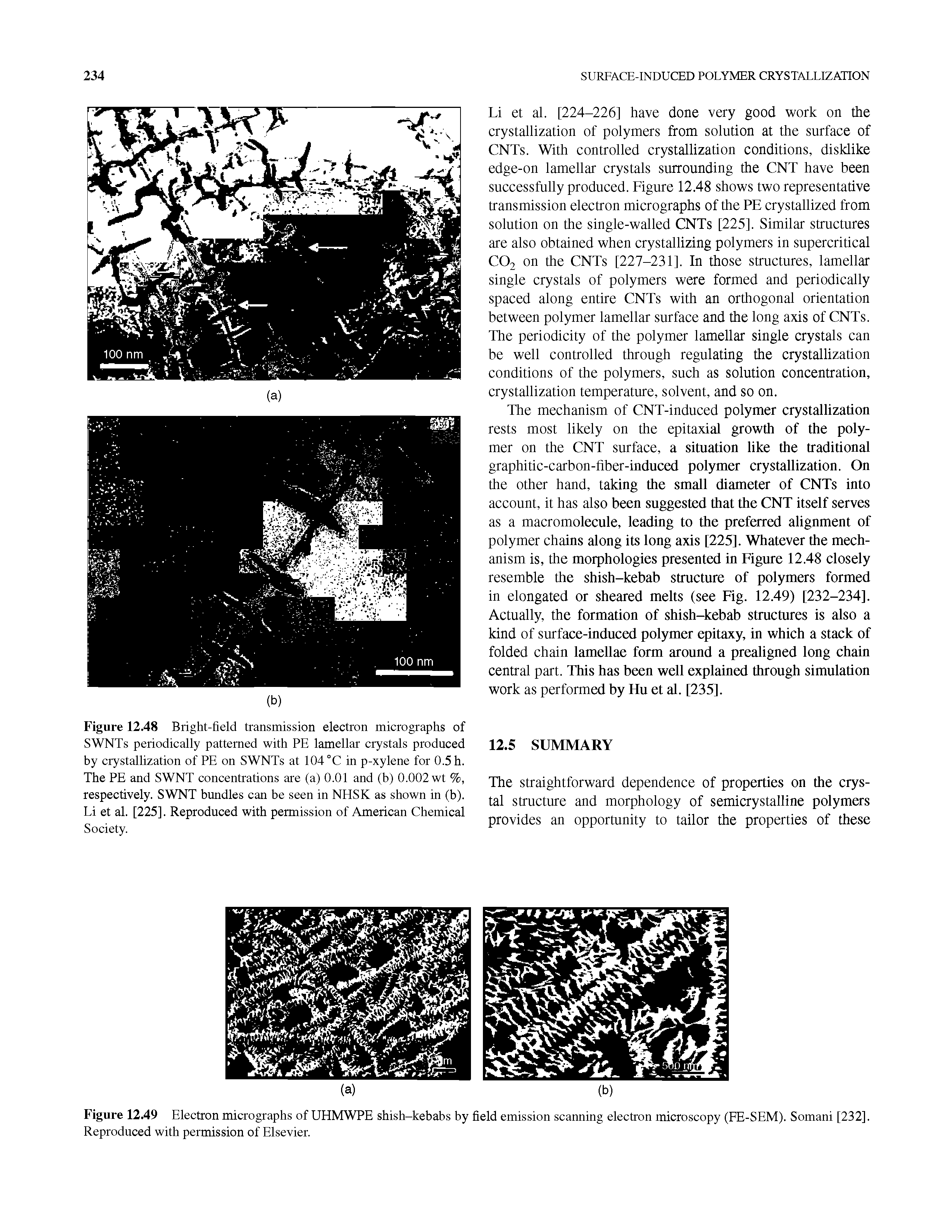Figure 1249 Electron micrographs of UHMWPE shish-kebabs by field emission scanning electron microscopy (FE-SEM). Somani [232]. Reproduced with permission of Elsevier.