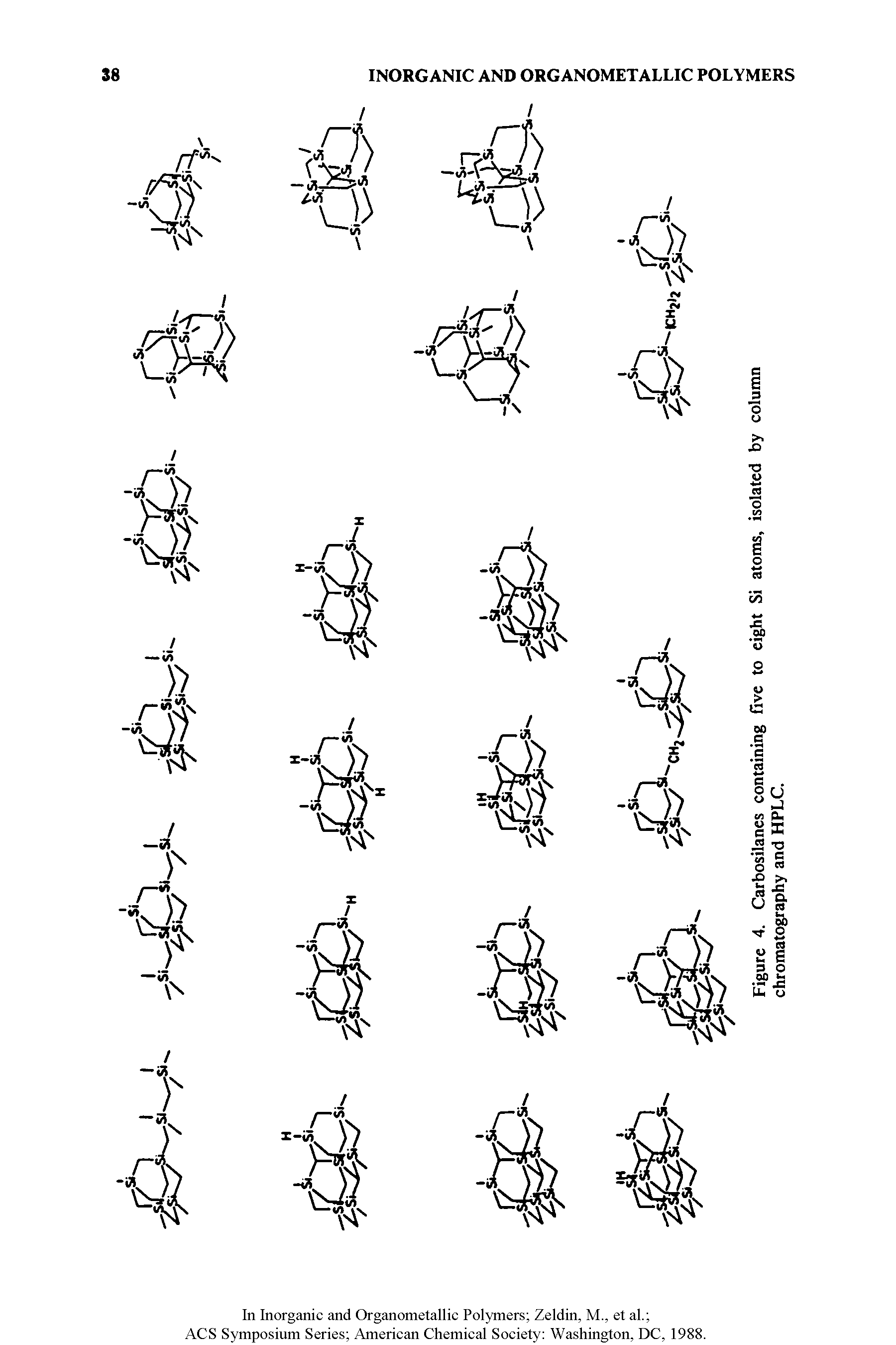 Figure 4. Carbosilanes containing five to eight Si atoms, isolated by column chromatography and HPLC.