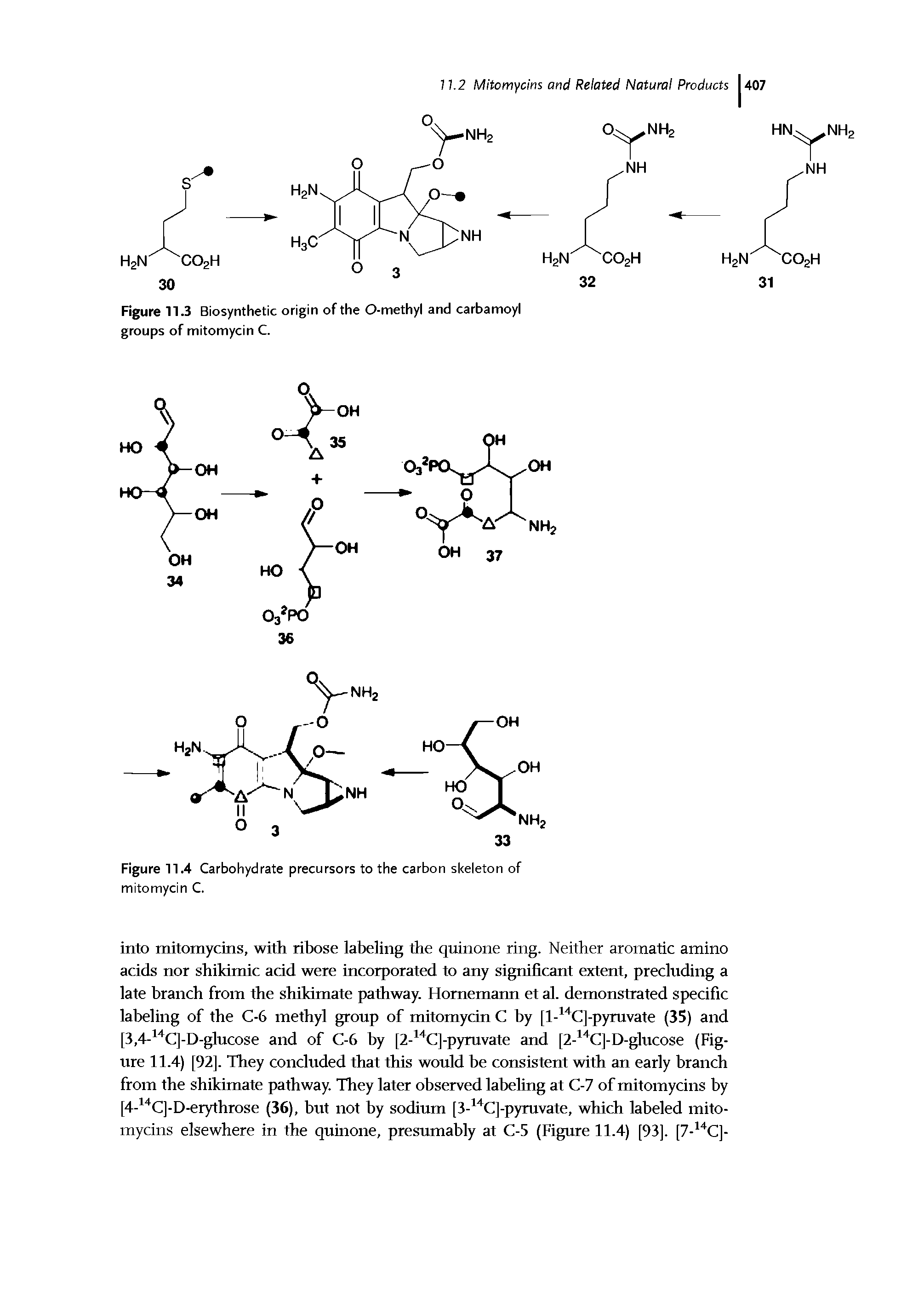 Figure 11.3 Biosynthetic origin of the O-methyl and carbamoyl groups of mitomycin C.