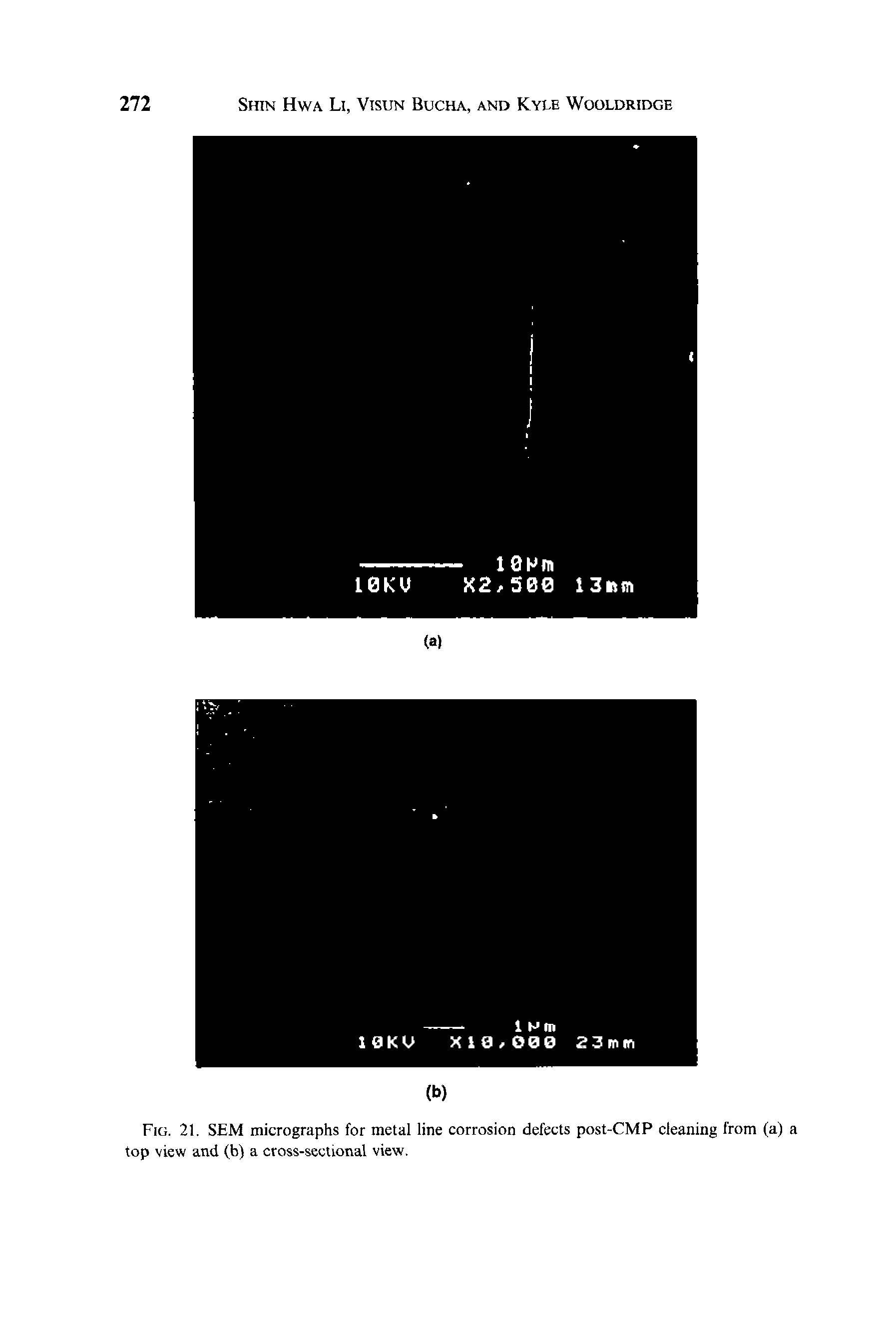 Fig. 21. SEM micrographs for metal line corrosion defects post-CMP cleaning from (a) a top view and (b) a cross-sectional view.