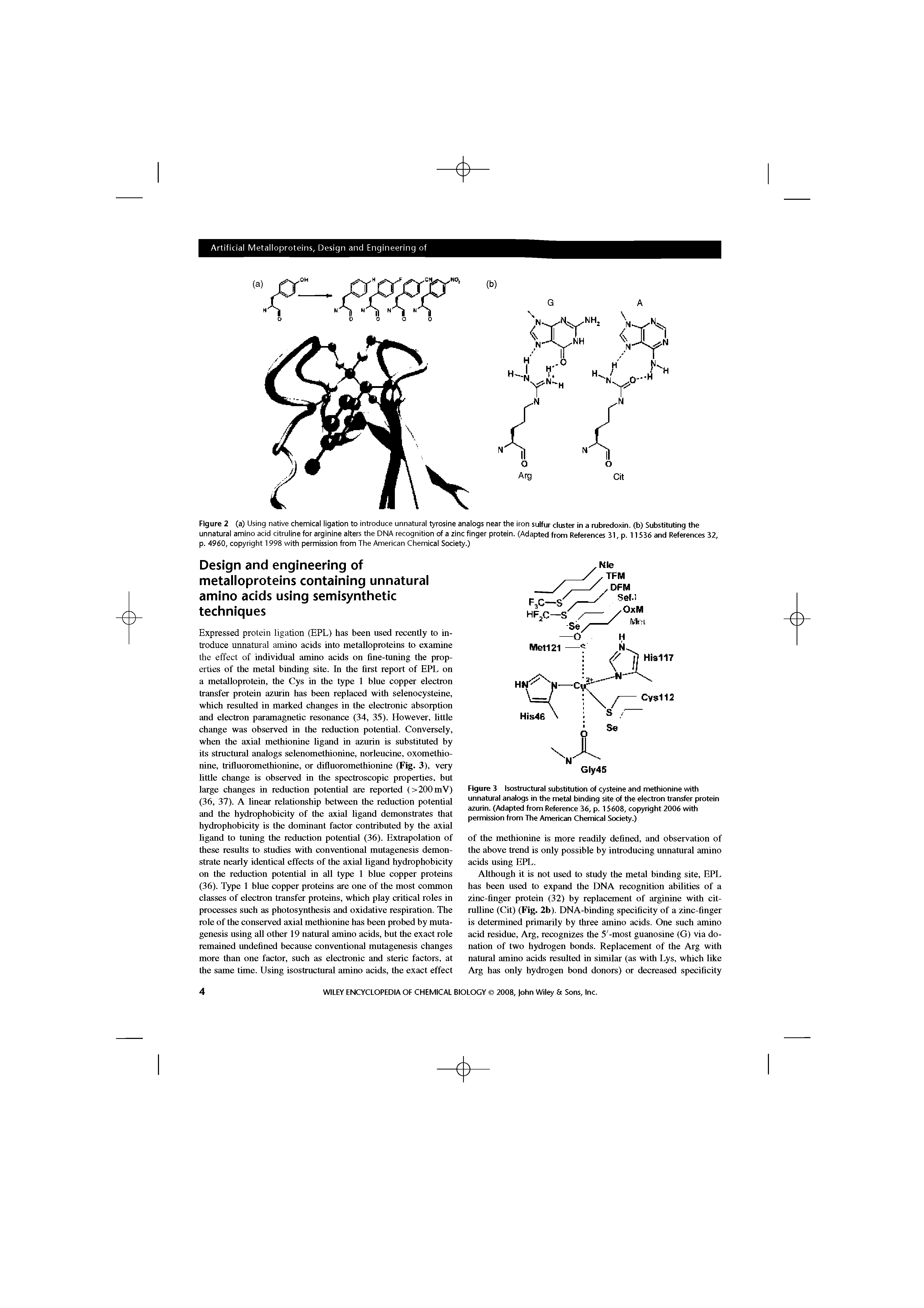Figure 3 Isostructural substitution of cysteine and methionine with unnatural analogs in the metal binding site of the electron transfer protein azurin. (Adapted from Reference 36, p. 15608, copyright 2006 with permission from The American Chemical Society.)...