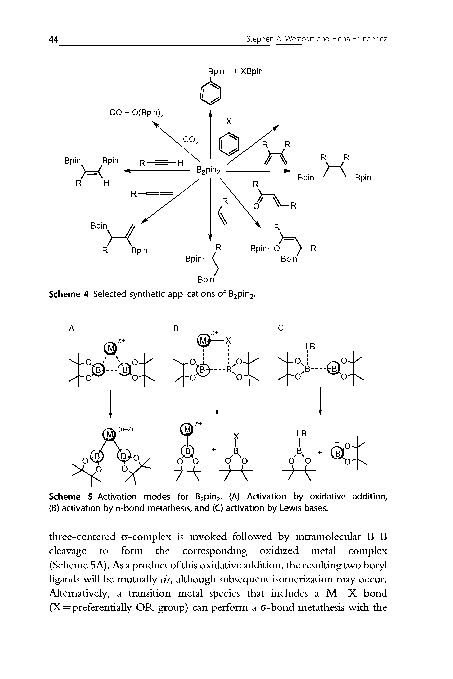 Scheme 5 Activation modes for B2pin2- (A) Activation by oxidative addition, (B) activation by o-bond metathesis, and (C) activation by Lewis bases.