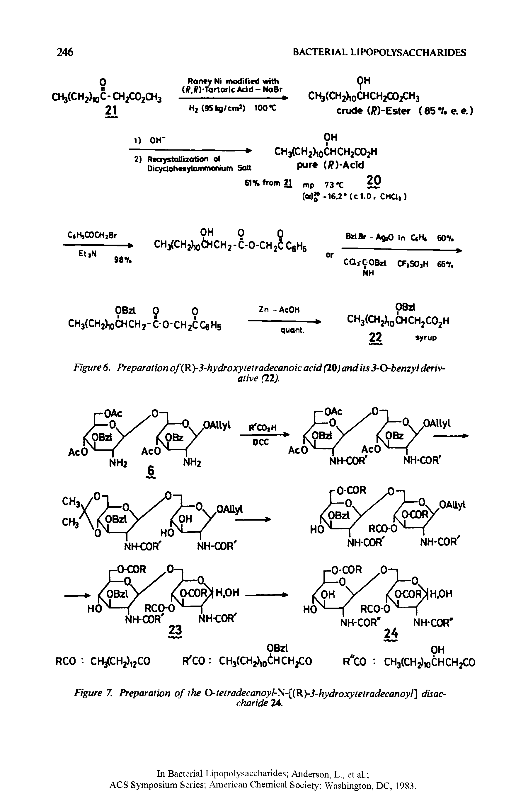 Figure 6. Preparation of(R)-3-hydroxytetradecanoic acid (20) and its 3-O-benzyl derivative (22).