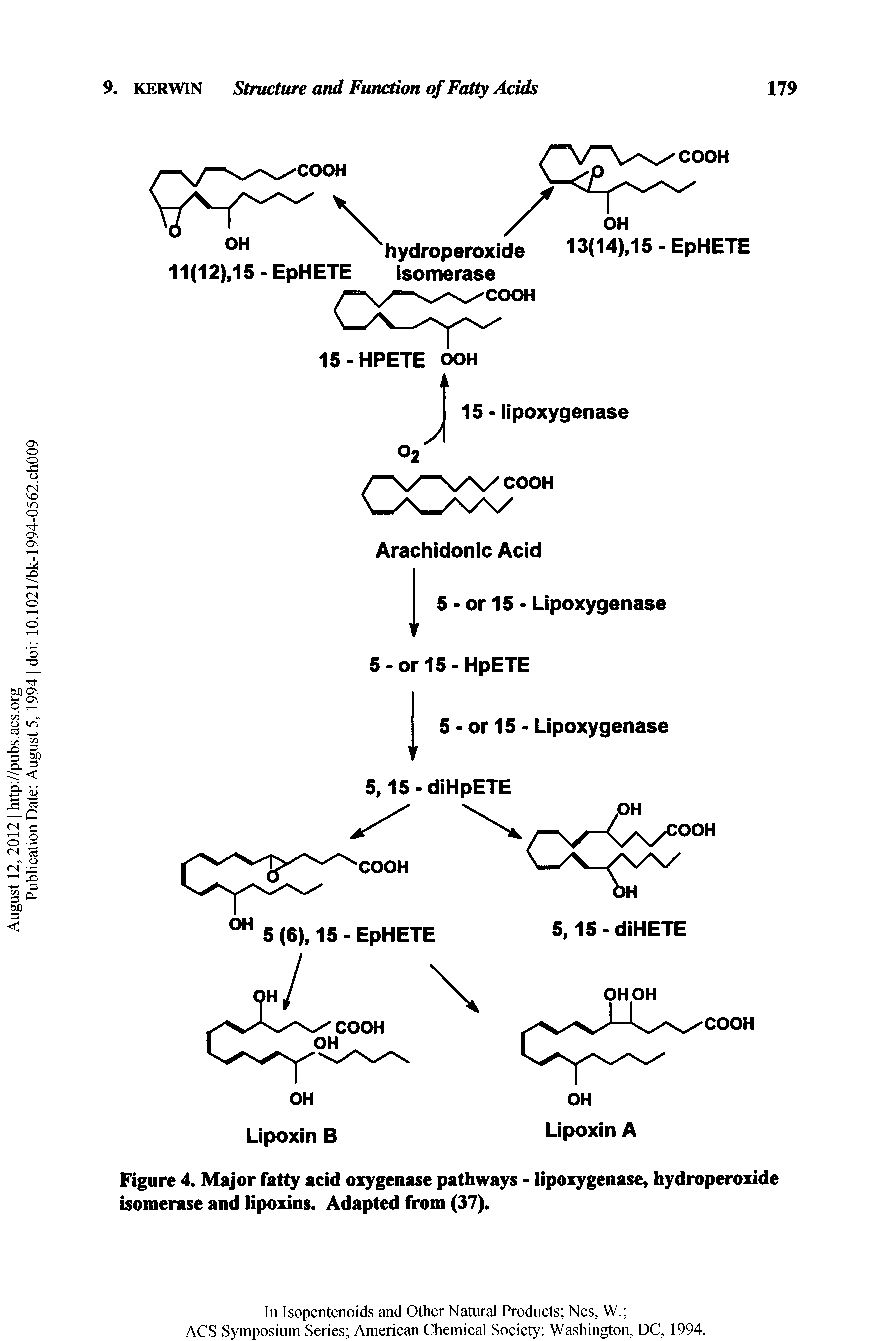 Figure 4. Major fatty acid oxygenase pathways - lipoxygenase, hydroperoxide isomerase and lipoxins. Adapted from (37).