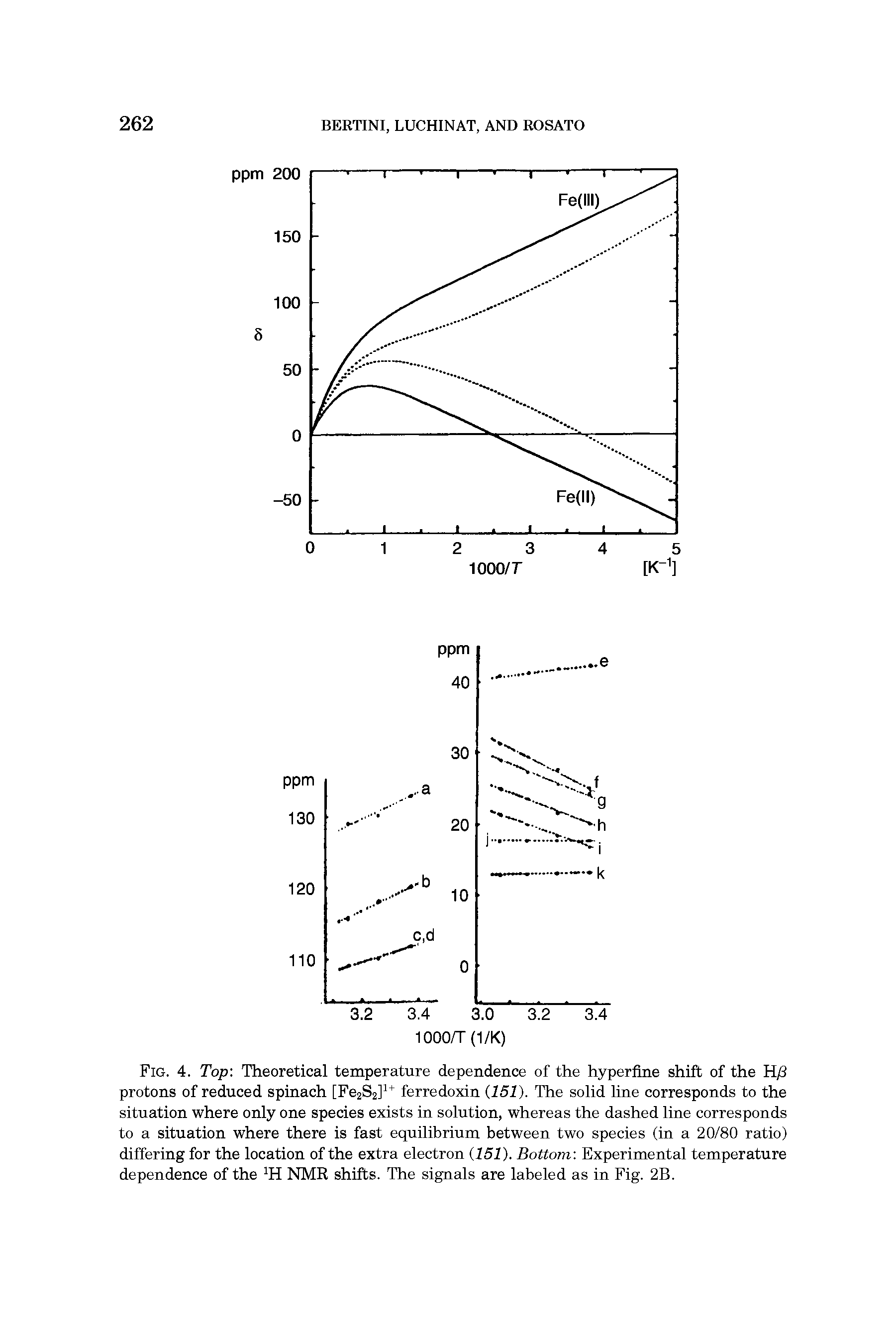 Fig. 4. Top Theoretical temperature dependence of the hyperfine shift of the H/3 protons of reduced spinach [Fe2S2] ferredoxin 151). The solid line corresponds to the situation where only one species exists in solution, whereas the dashed line corresponds to a situation where there is fast equilibrium between two species (in a 20/80 ratio) differing for the location of the extra electron 151). Bottom.-. Experimental temperature dependence of the H NMR shifts. The signals are labeled as in Fig. 2B.