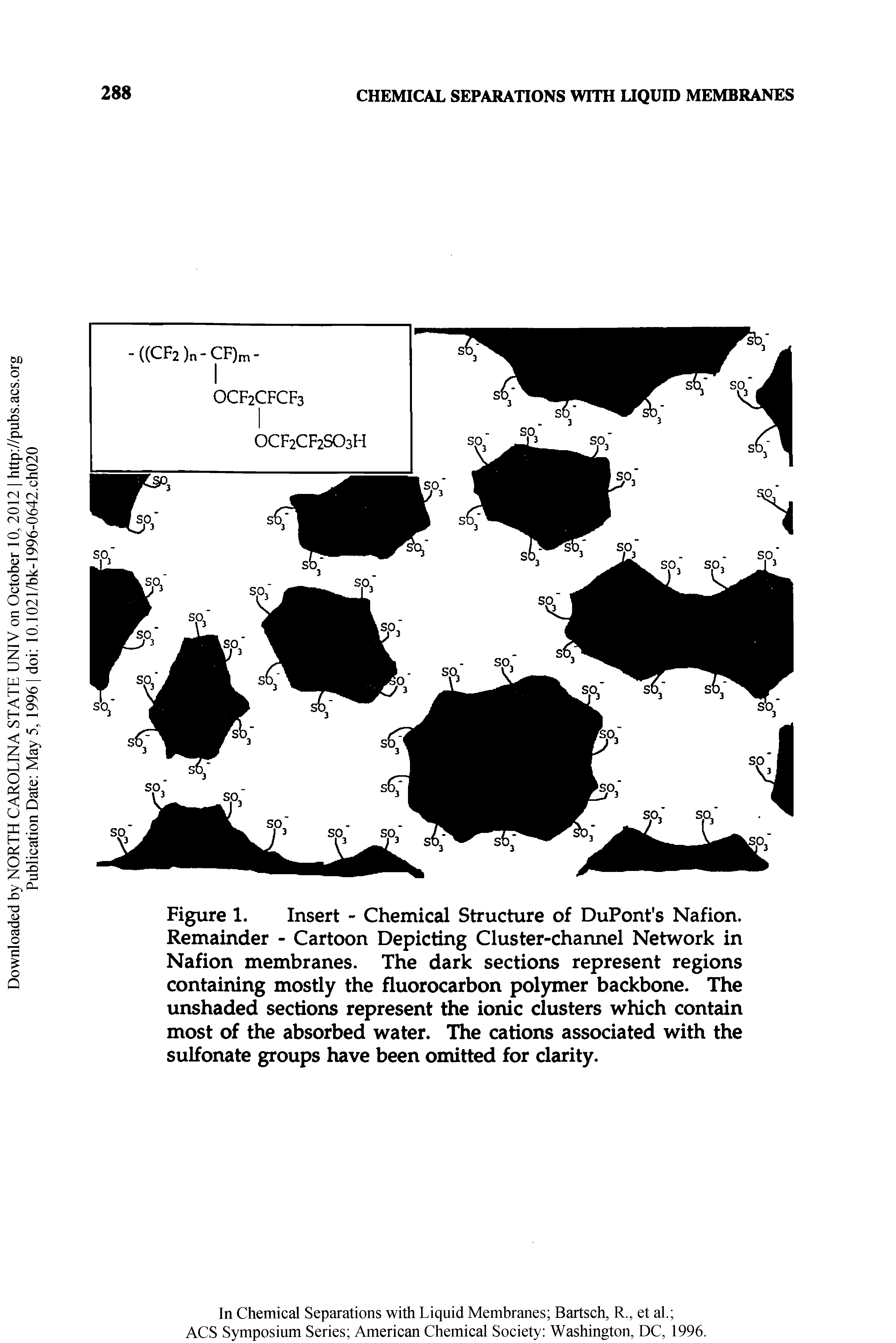 Figure 1. Insert - Chemical Structure of DuPont s Nation. Remainder - Cartoon Depicting Cluster-channel Network in Nation membranes. The dark sections represent regions containing mostly the fluorocarbon polymer backbone. The unshaded sections represent the ionic clusters which contain most of the absorbed water. The cations associated with the sulfonate groups have been omitted for clarity.