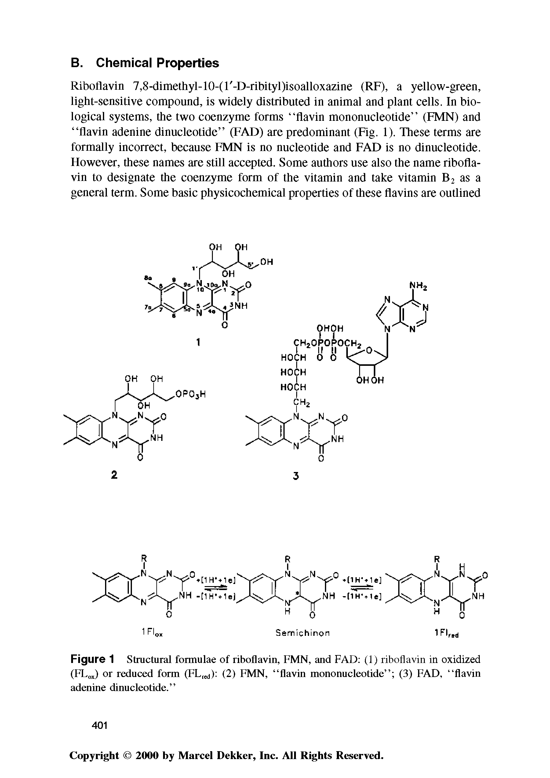 Figure 1 Structural formulae of riboflavin, FMN, and FAD (1) riboflavin in oxidized (FL j) or reduced form (FL, ) (2) FMN, flavin mononucleotide (3) FAD, flavin adenine dinucleotide. ...