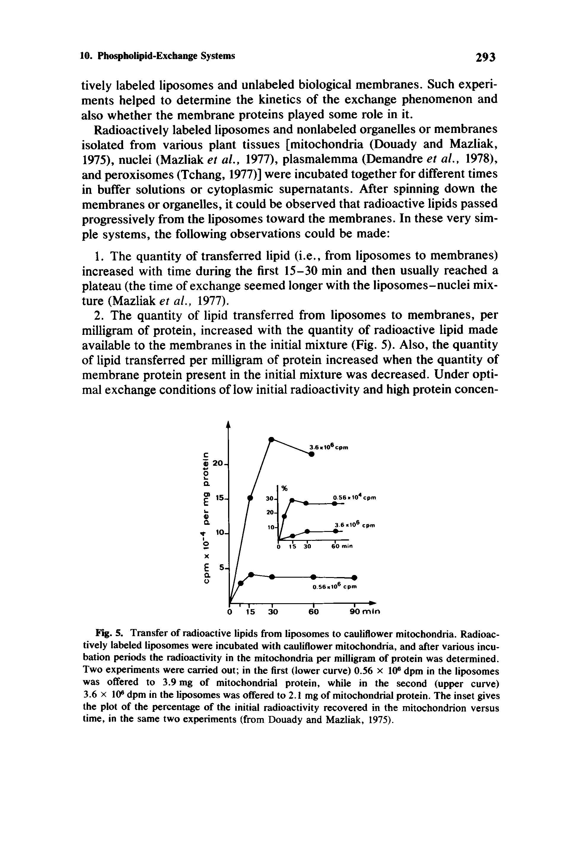 Fig. 5. Transfer of radioactive lipids from liposomes to cauliflower mitochondria. Radioactively labeled liposomes were incubated with cauliflower mitochondria, and after various incubation periods the radioactivity in the mitochondria per milligram of protein was determined. Two experiments were carried out in the first (lower curve) 0.56 x 10 dpm in the liposomes was offered to 3.9 mg of mitochondrial protein, while in the second (upper curve) 3.6 X 10 dpm in the liposomes was offered to 2.1 mg of mitochondrial protein. The inset gives the plot of the percentage of the initial radioactivity recovered in the mitochondrion versus time, in the same two experiments (from Douady and Mazliak, 1975).
