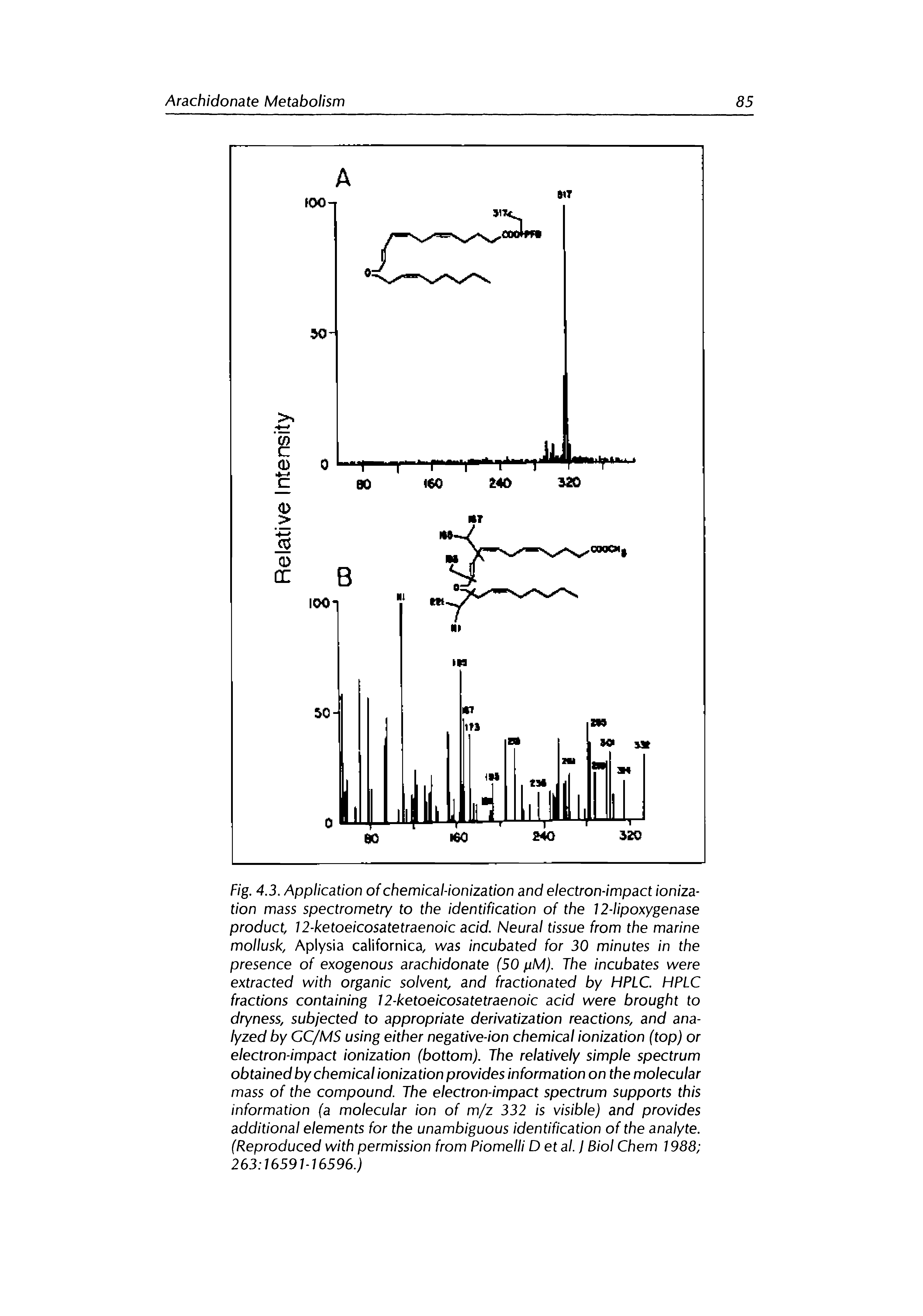 Fig. 4.3. Application of chemical-ionization and electron-impact ionization mass spectrometry to the identification of the 12-lipoxygenase product, 12-ketoeicosatetraenoic acid. Neural tissue from the marine mollusk, Aplysia californica, was incubated for 30 minutes in the presence of exogenous arachidonate (50 jjM). The incubates were extracted with organic solvent, and fractionated by HPLC. HPLC fractions containing 12-ketoeicosatetraenoic acid were brought to dryness, subjected to appropriate derivatization reactions, and analyzed by GC/MS using either negative-ion chemical ionization (top) or electron-impact ionization (bottom). The relatively simple spectrum obtained by chemical ionization provides information on the molecular mass of the compound. The electron-impact spectrum supports this information (a molecular ion of m/z 332 is visible) and provides additional elements for the unambiguous identification of the analyte. (Reproduced with permission from Piomelli Detal.J Biol Chem 1988 263 16591-16596.)...