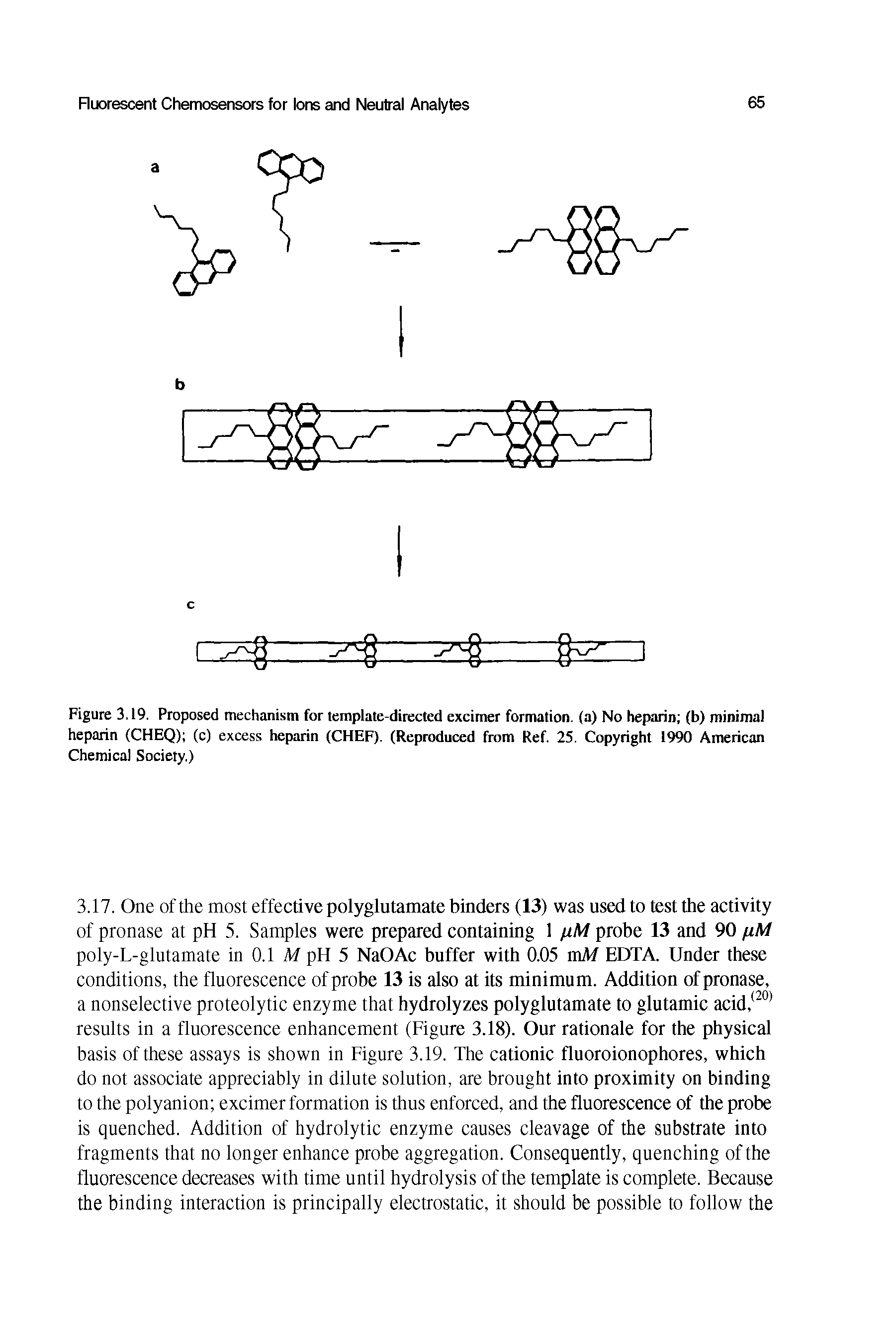Figure 3.19. Proposed mechanism for template-directed excimer formation, (a) No heparin (b) minimal heparin (CHEQ) (c) excess heparin (CHEF). (Reproduced from Ref. 25. Copyright 1990 American Chemical Society.)...