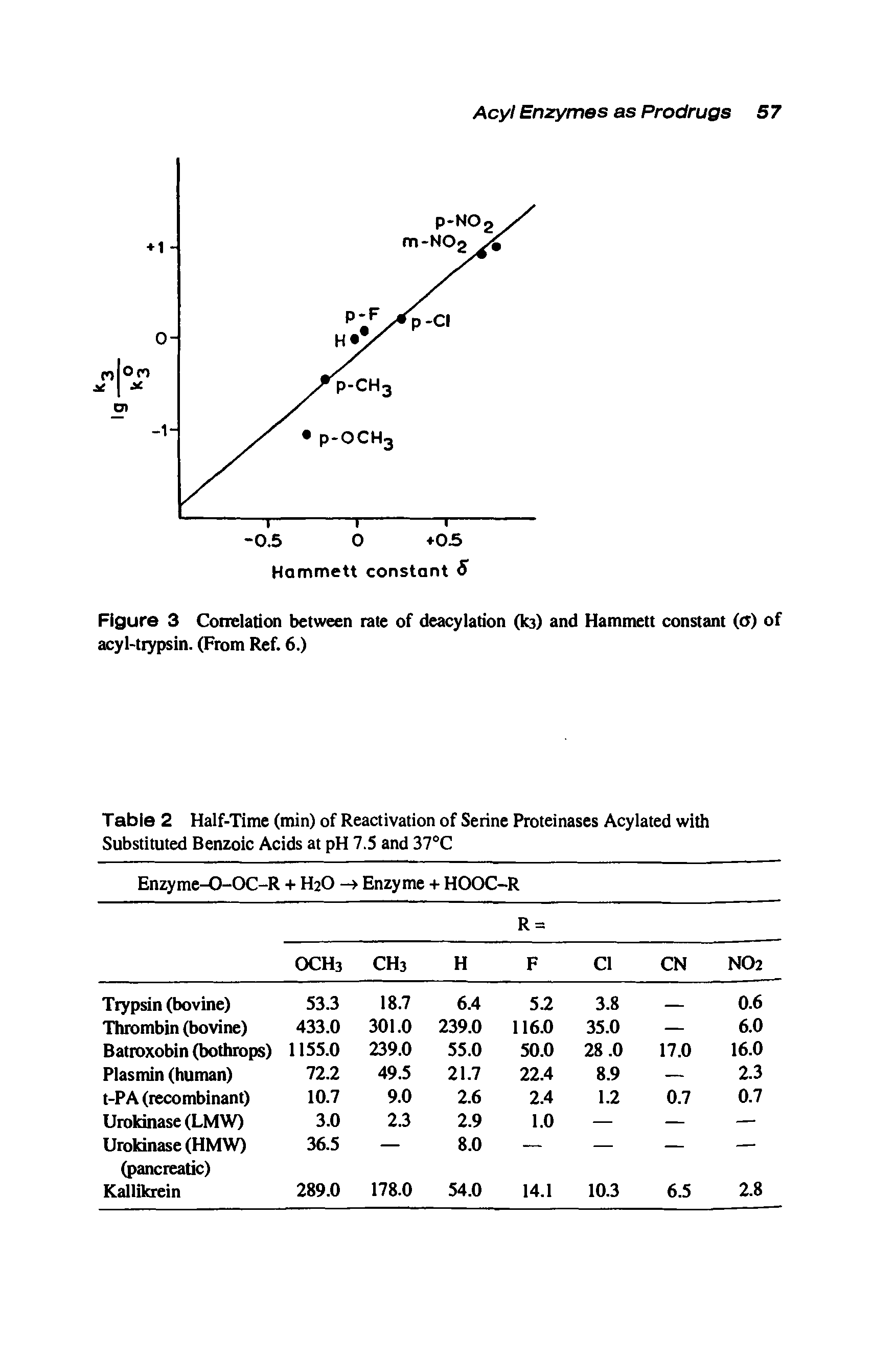Figure 3 Correlation between rate of deacylation (to) and Hammett constant (O) of acyl-trypsin. (From Ref. 6.)...