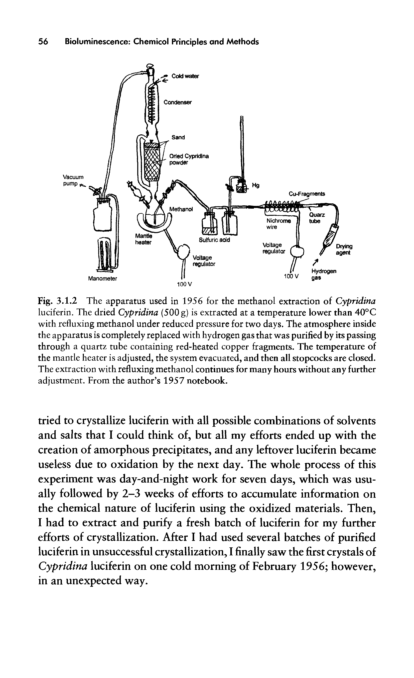 Fig. 3.1.2 The apparatus used in 1956 for the methanol extraction of Cypridina luciferin. The dried Cypridina (500 g) is extracted at a temperature lower than 40°C with refluxing methanol under reduced pressure for two days. The atmosphere inside the apparatus is completely replaced with hydrogen gas that was purified by its passing through a quartz tube containing red-heated copper fragments. The temperature of the mantle heater is adjusted, the system evacuated, and then all stopcocks are closed. The extraction with refluxing methanol continues for many hours without any further adjustment. From the author s 1957 notebook.