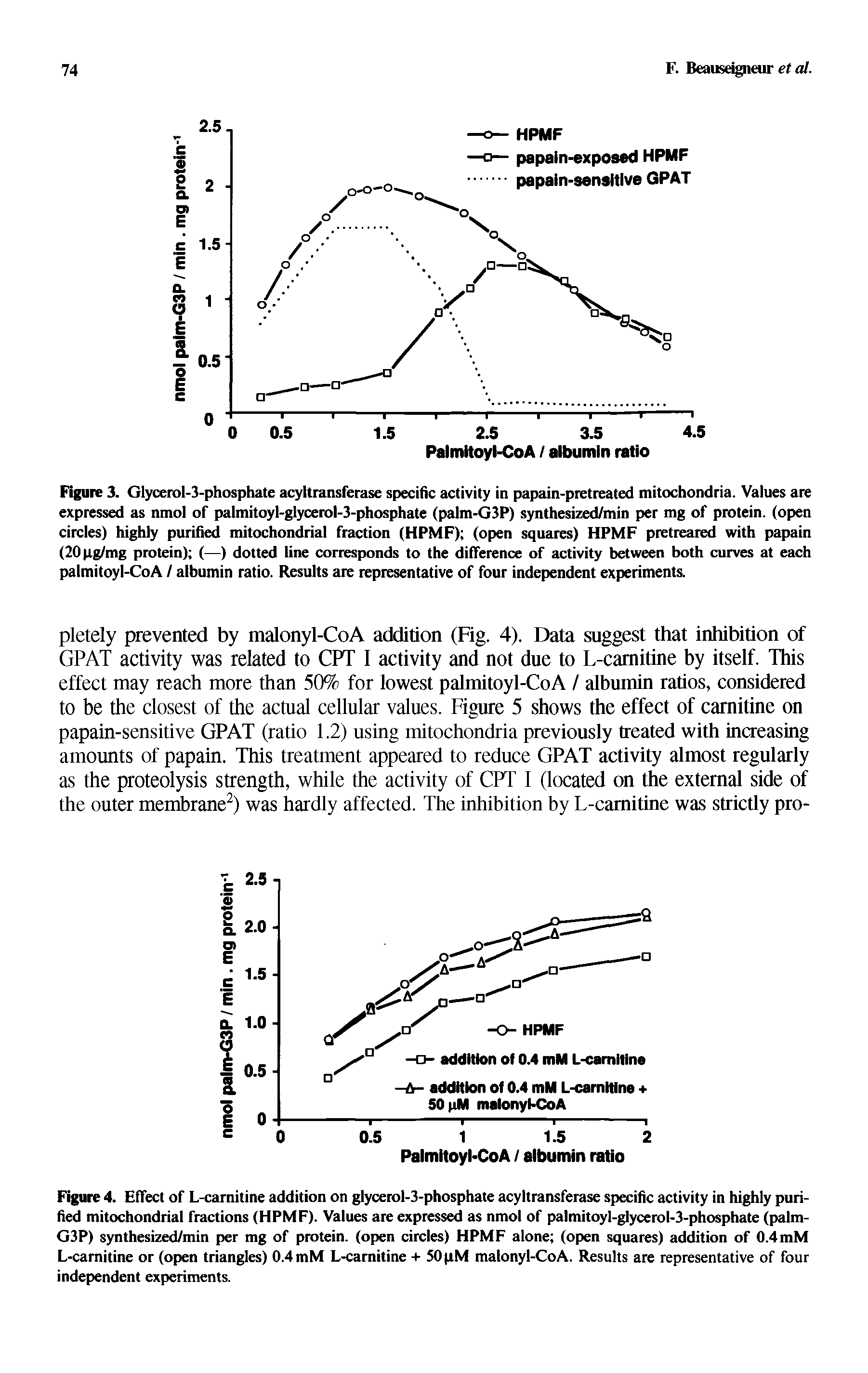 Figure 4. Effect of L-camitine addition on glycerol-3-phosphate acyltransferase specific activity in highly purified mitochondrial fractions (HPMF). Values are expressed as nmol of palmitoyI-glycerol-3-pho phate (] m-G3P) synthesized/min per mg of protein, (open circles) HPMF alone (open squares) addition of 0.4mM L-camitine or (open triangles) 0.4 mM L-camitine + SOpM malonyl-CoA. Results are representative of four independent experiments.