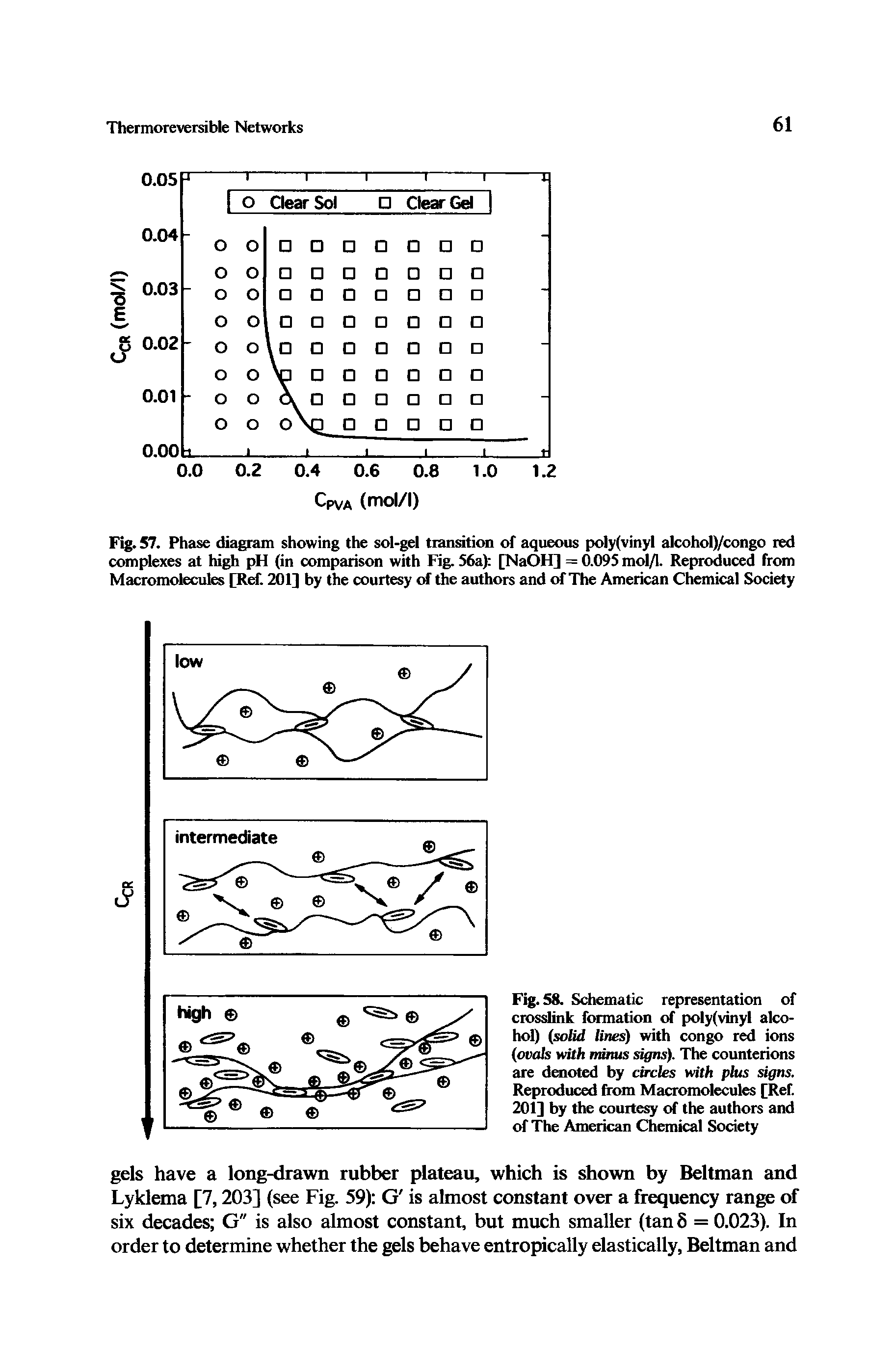 Fig. 58. Schematic representation of crosslink formation of poly(vinyl alcohol) (solid lines) with Congo red ions (ovids with minus signs). The counterions are denoted by circles with plus signs. Reproduced from Macromolecules [Ref. 201] by the courteqr of the authors and of The American Chemical Society...