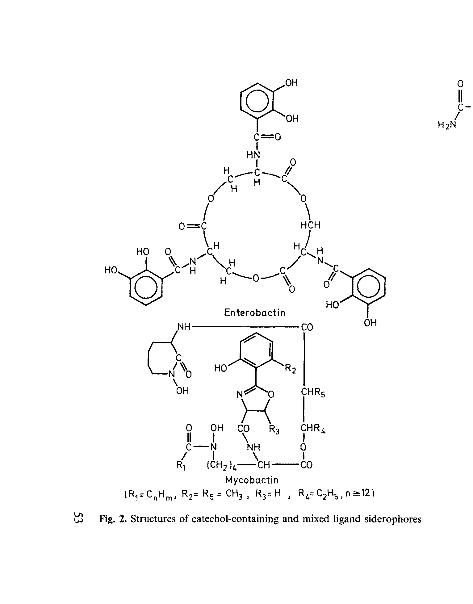Fig. 2. Structures of catechol-containing and mixed ligand siderophores...