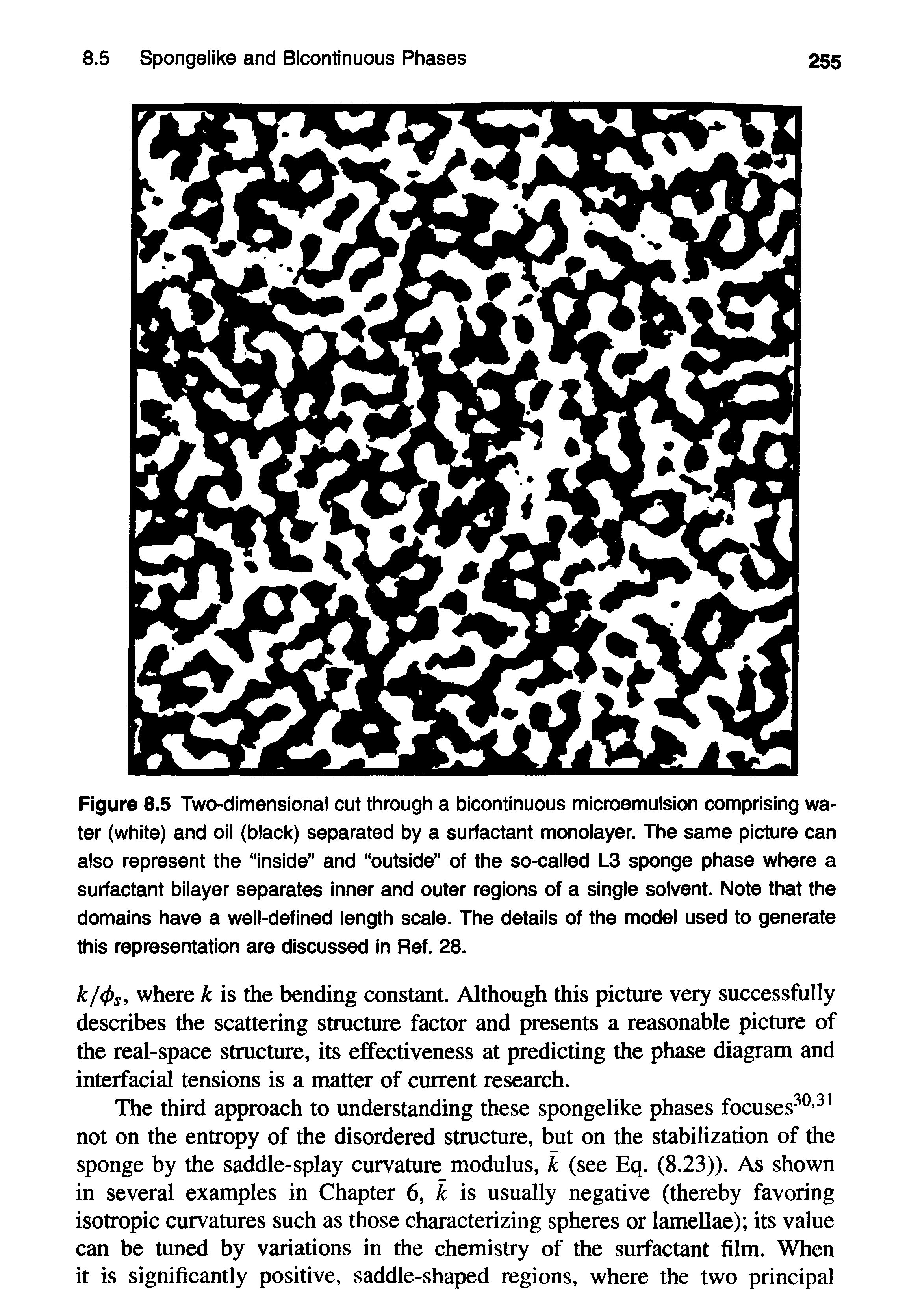 Figure 8.5 Two-dimensional cut through a bicontinuous microemulsion comprising water (white) and oil (black) separated by a surfactant monolayer. The same picture can also represent the inside and outside of the so-called L3 sponge phase where a surfactant bilayer separates inner and outer regions of a single solvent. Note that the domains have a well-defined iength scaie. The detaiis of the model used to generate this representation are discussed in Ref. 28.