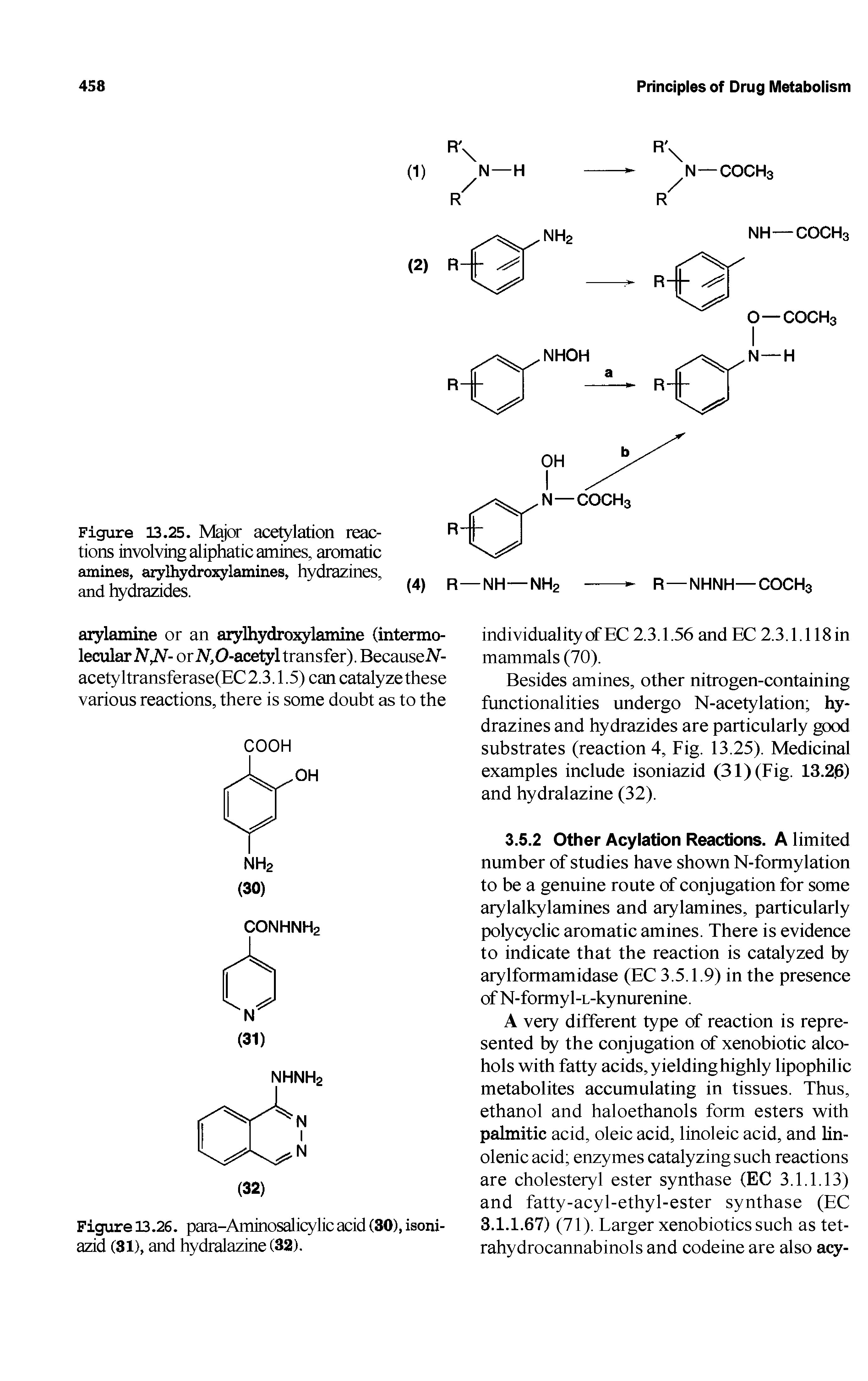 Figure 13.25. Major acetylation reactions involving aliphatic amines, aromatic amines, arylhydroxylamines, hydrazines, and hydrazides.