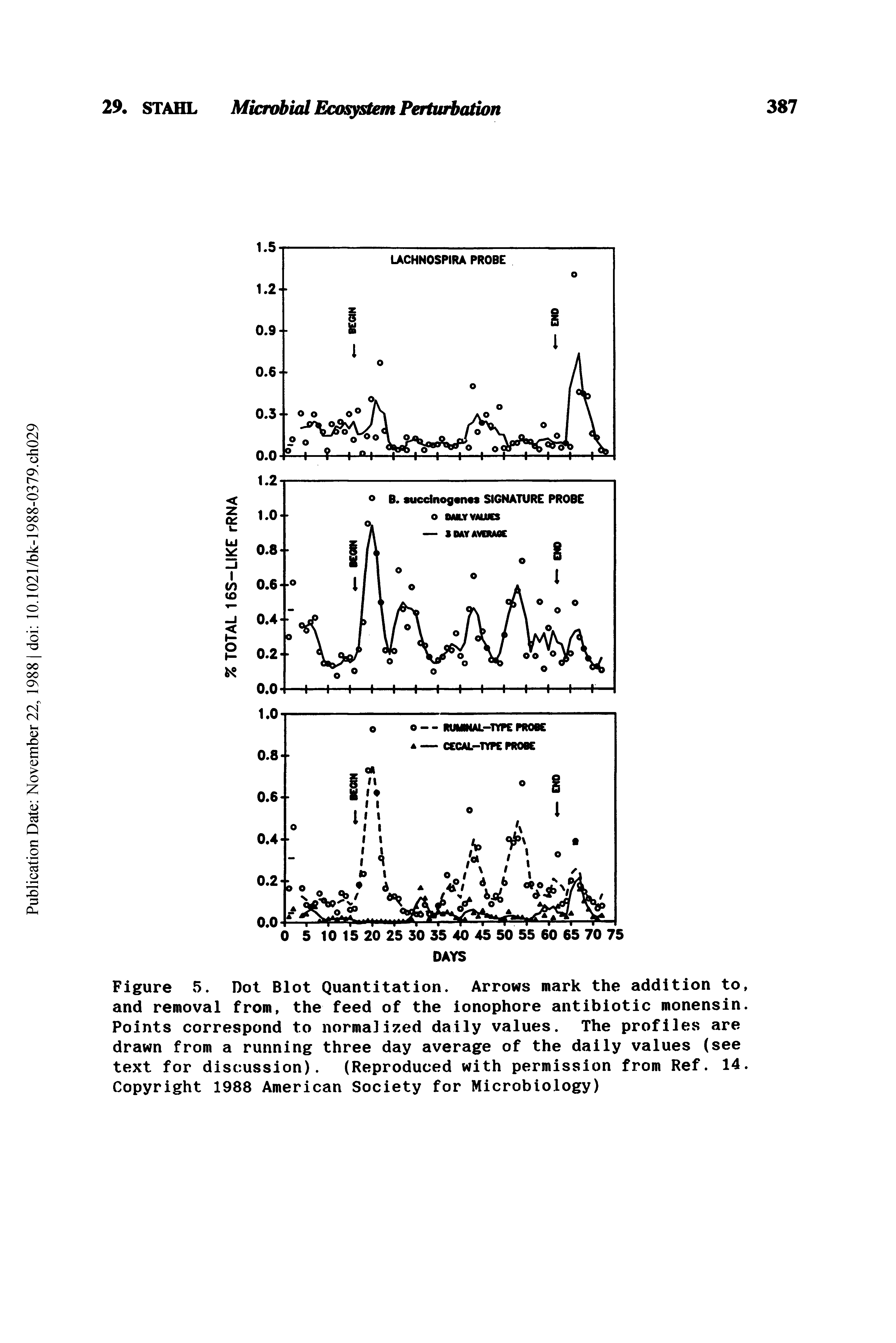 Figure 5. Dot Blot Quantitation. Arrows mark the addition to, and removal from, the feed of the ionophore antibiotic monensin. Points correspond to normalized daily values. The profiles are drawn from a running three day average of the daily values (see text for discussion). (Reproduced with permission from Ref. 14. Copyright 1988 American Society for Microbiology)...