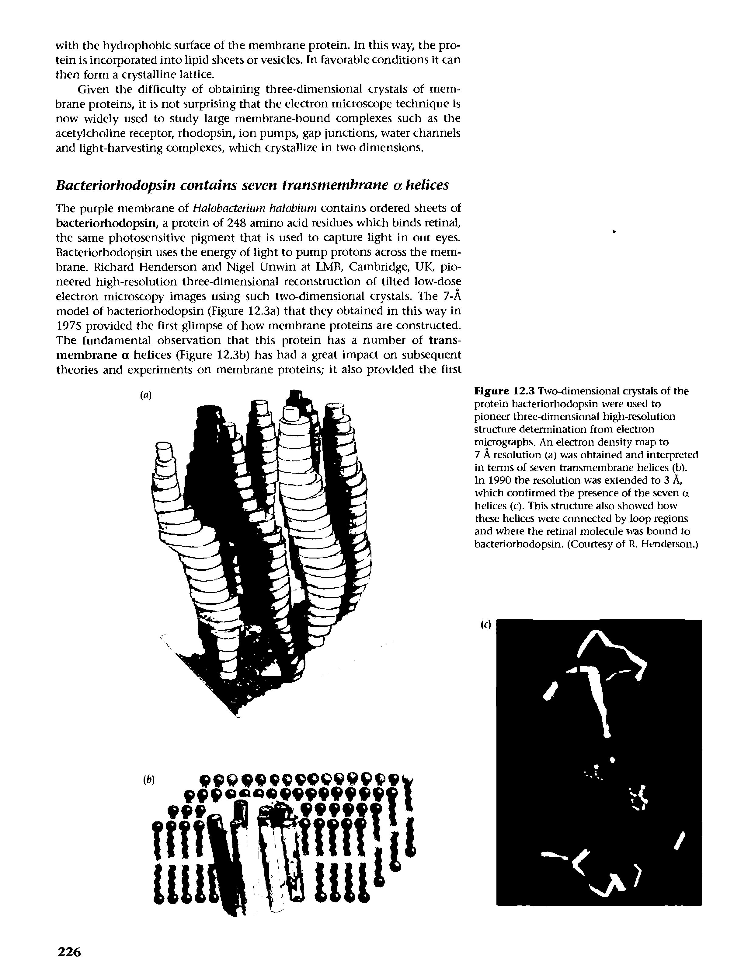 Figure 12.3 Two-dimensional crystals of the protein bacteriorhodopsin were used to pioneer three-dimensional high-resolution structure determination from electron micrographs. An electron density map to 7 A resolution (a) was obtained and interpreted in terms of seven transmembrane helices (b).