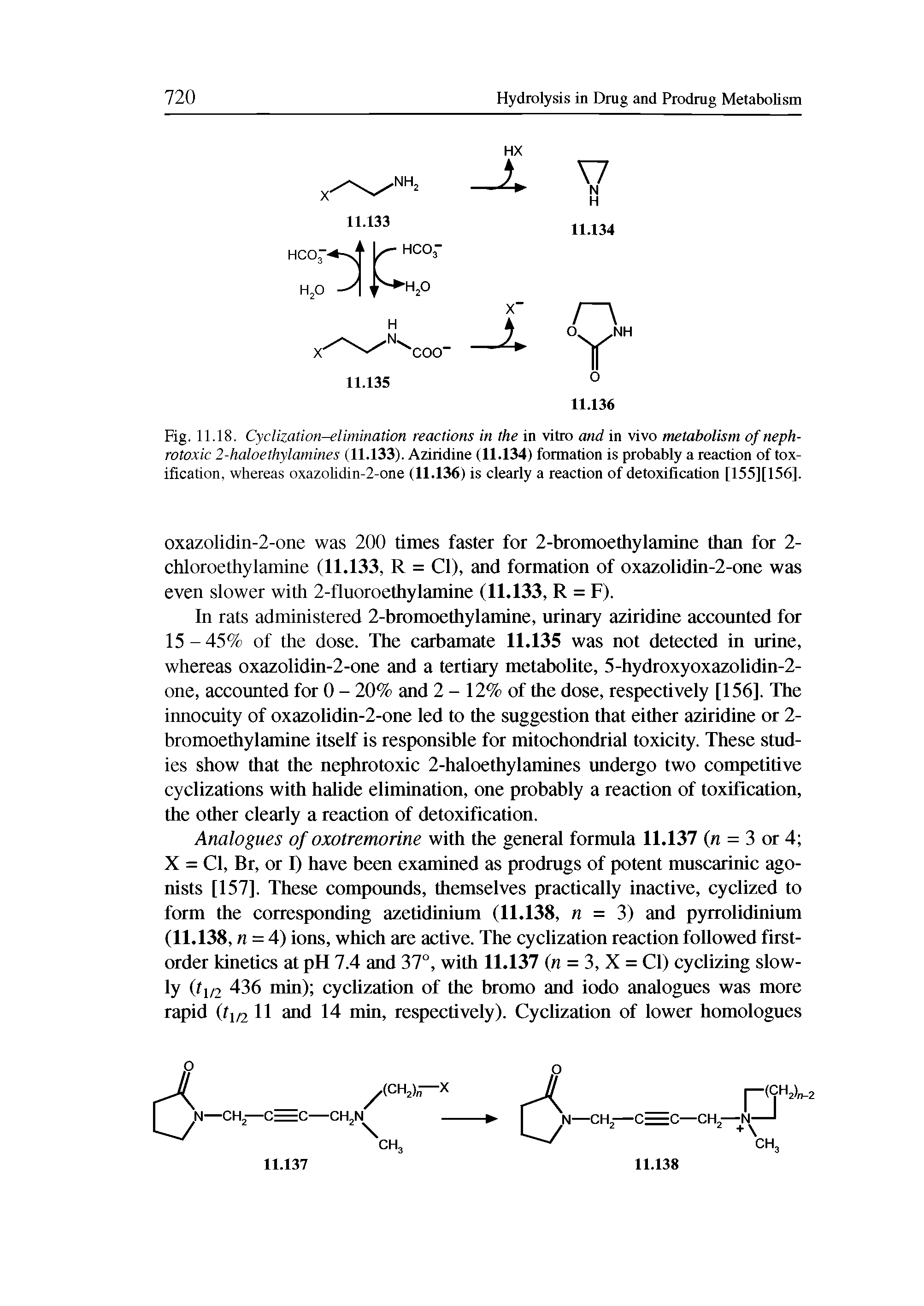 Fig. 11.18. Cyclization-elimination reactions in the in vitro and in vivo metabolism of nephrotoxic 2-haloethylamines (11.133). Aziridine (11.134) formation is probably a reaction of tox-ification, whereas oxazolidin-2-one (11.136) is clearly a reaction of detoxification [155][156].