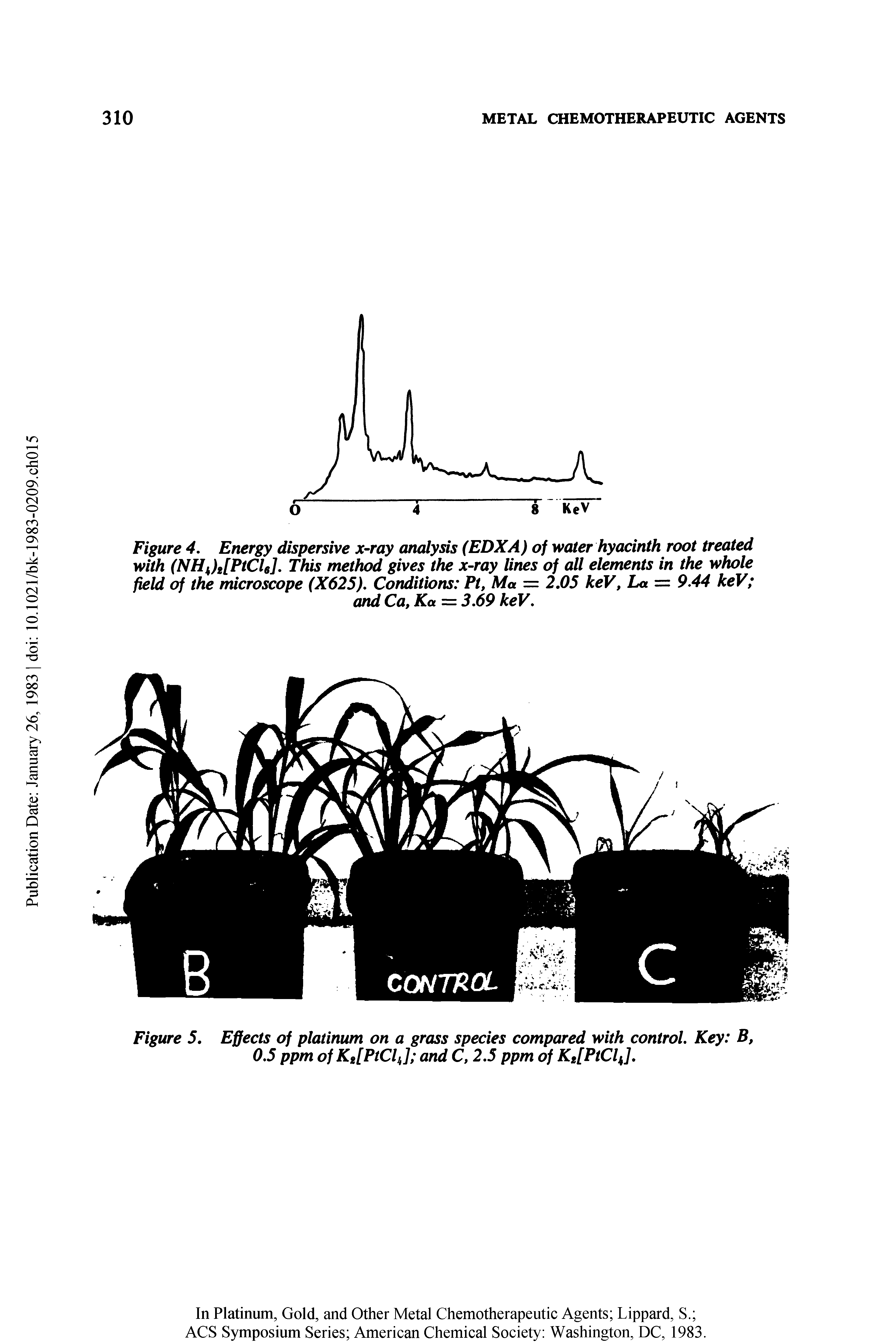 Figure 4. Energy dispersive x-ray analysis (EDXA) of water hyacinth root treated with (NH )i[PtCh]. This method gives the x-ray lines of all elements in the whole field of the microscope (X625), Conditions Pt, Ma — 2.05 keV, La = 9.44 keV and Ca, Ka = 3.69 keV.