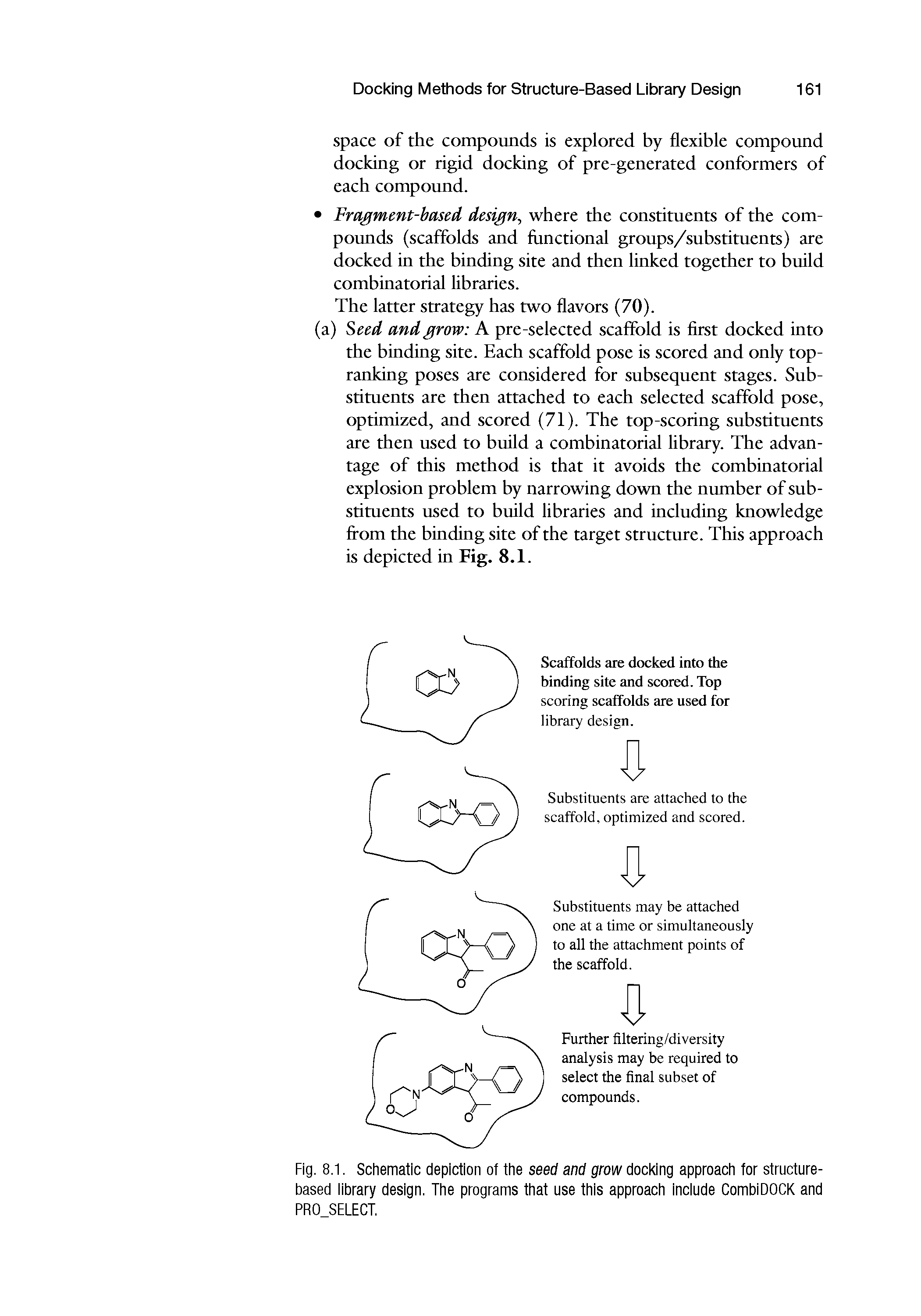 Fig. 8.1. Schematic depiction of the seed and grow docking approach for structure-based library design. The programs that use this approach include CombiDOCK and PR0 SELECT.