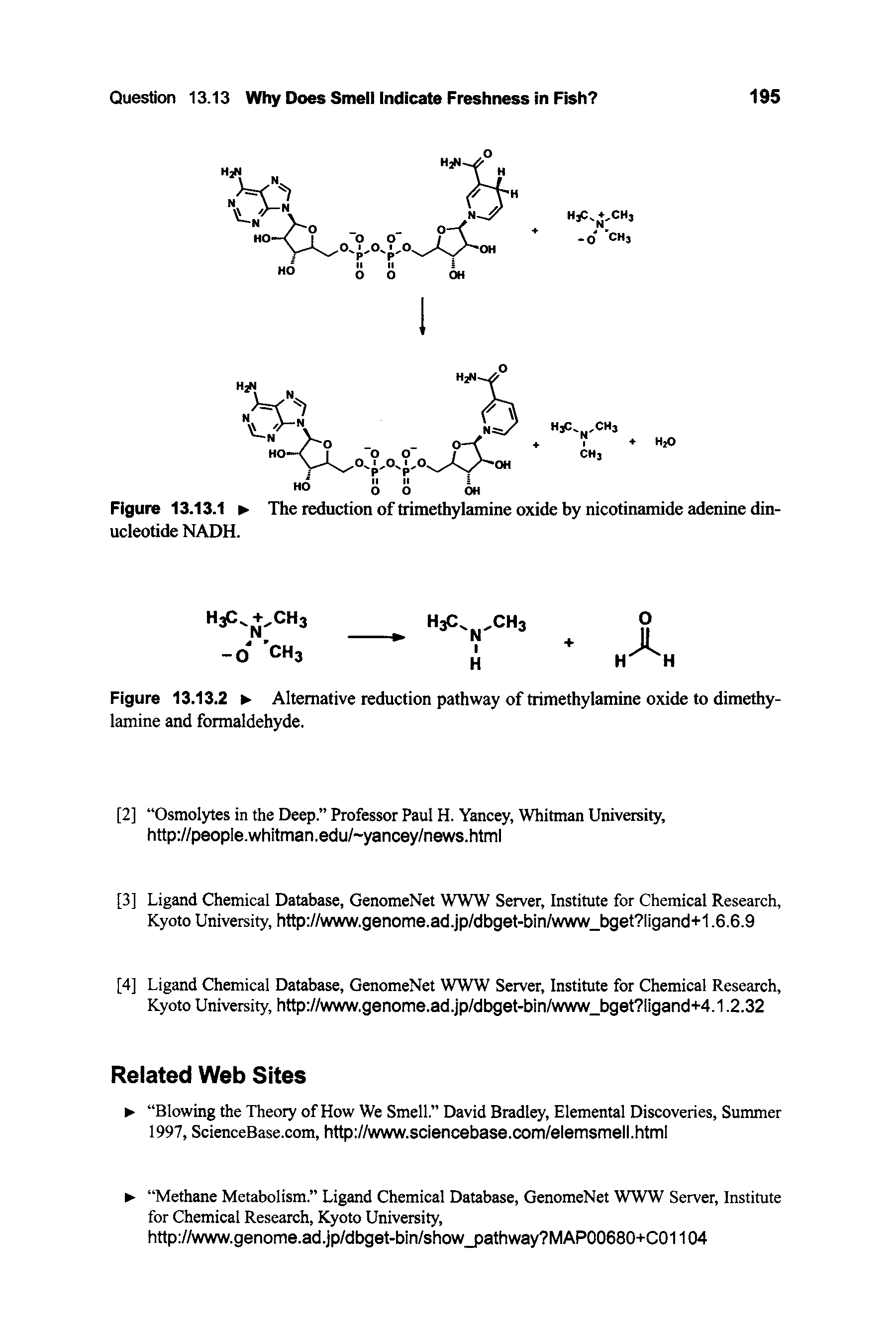 Figure 13.13.2 Alternative reduction pathway of trimethylamine oxide to dimethy-lamine and formaldehyde.