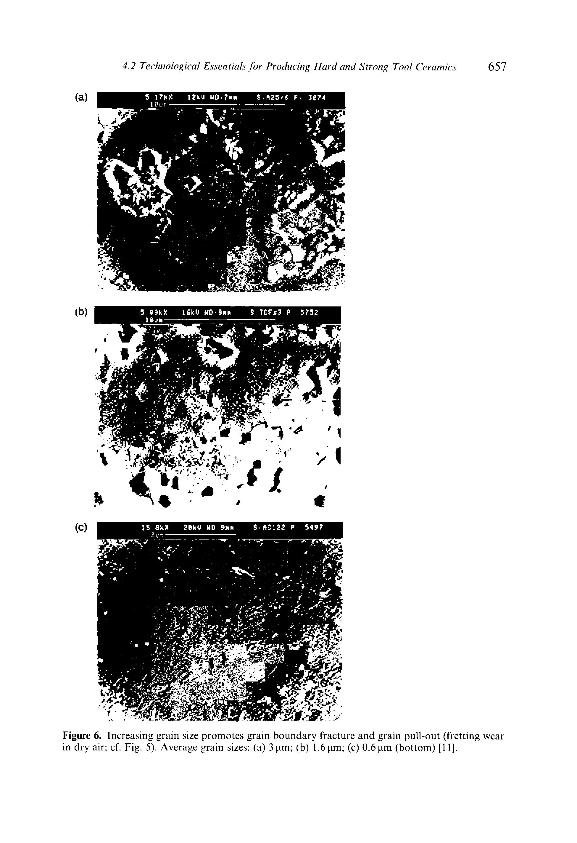 Figure 6. Increasing grain size promotes grain boundary fracture and grain pull-out (fretting wear in dry air cf. Fig. 5). Average grain sizes (a) 3 pm (b) 1.6 pm (c) 0.6 pm (bottom) [11].