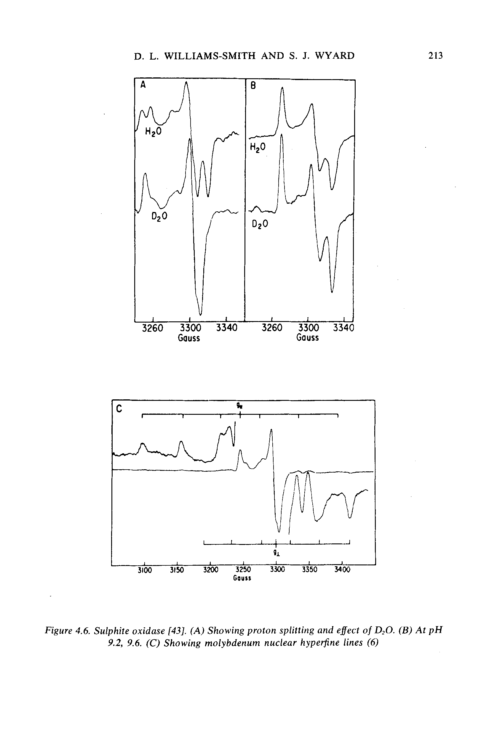 Figure 4.6. Sulphite oxidase [43]. (A) Showing proton splitting and effect of D2O. (B) At pH 9.2, 9.6. (C) Showing molybdenum nuclear hyperfine lines (6)...
