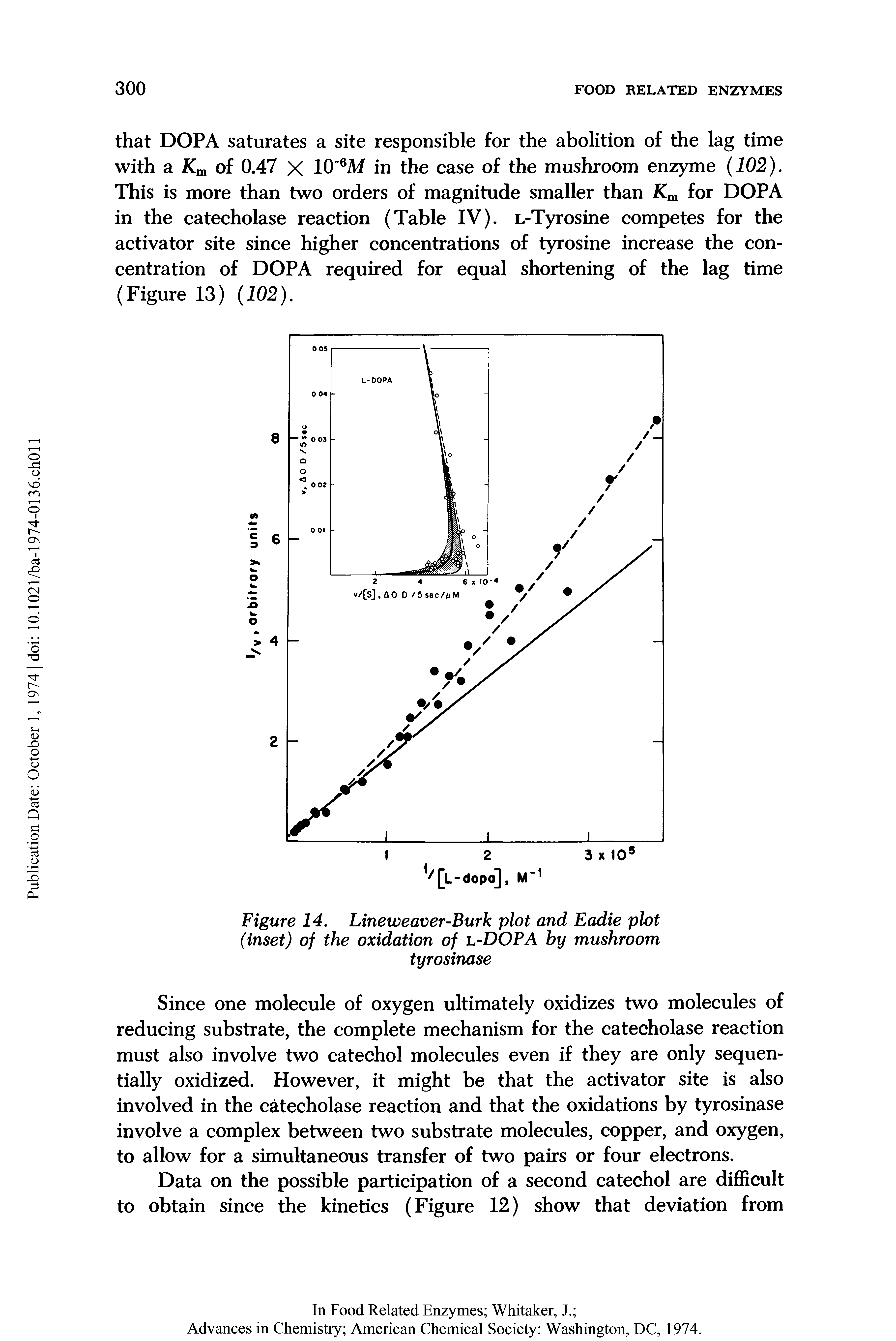 Figure 14. Lineweaver-Burk plot and Eadie plot (inset) of the oxidation of la-DOFA by mushroom tyrosinase...