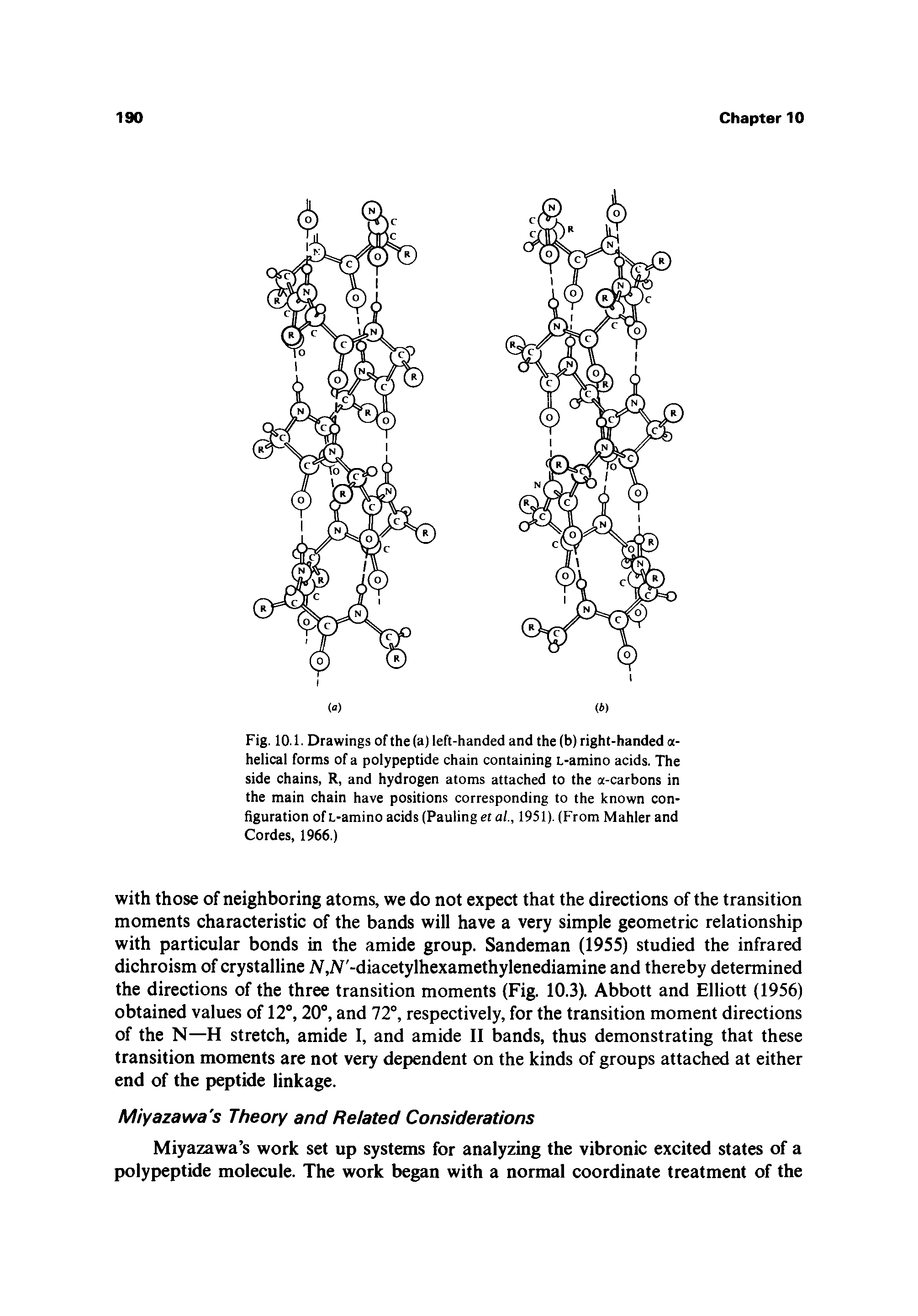 Fig. 10.1. Drawings of the (a) left-handed and the (b) right-handed a-helical forms of a polypeptide chain containing L>amino acids. The side chains, R, and hydrogen atoms attached to the a-carbons in the main chain have positions corresponding to the known configuration of L-amino acids (Pauling et al., 1951). (From Mahler and Cordes, 1966.)...