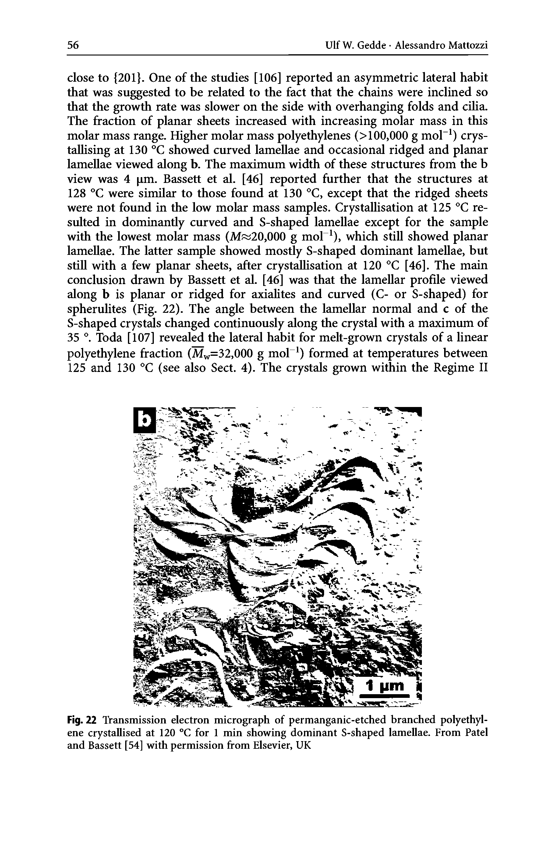 Fig. 22 Transmission electron micrograph of permanganic-etched branched polyethylene crystallised at 120 °C for 1 min showing dominant S-shaped lamellae. From Patel and Bassett [54] with permission from Elsevier, UK...