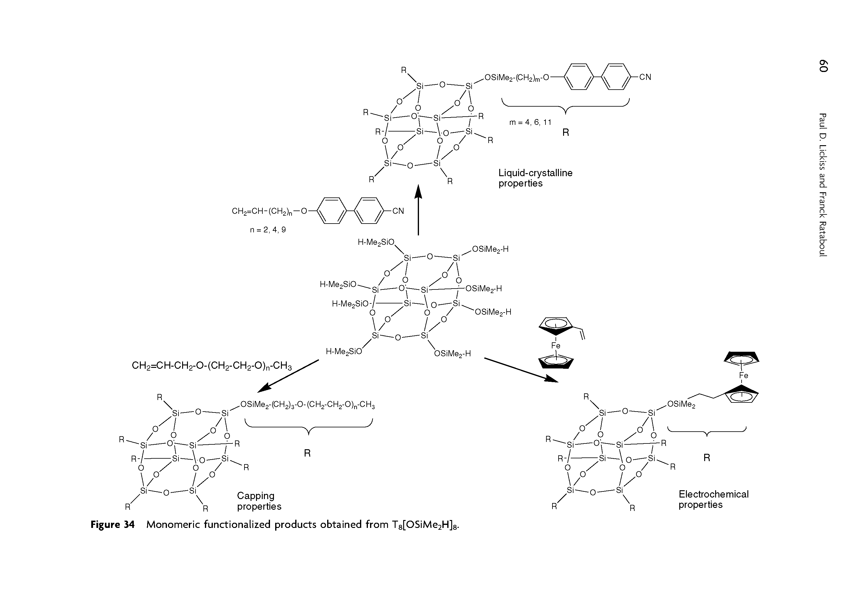 Figure 34 Monomeric functionalized products obtained from T8[OSiMe2H]s.