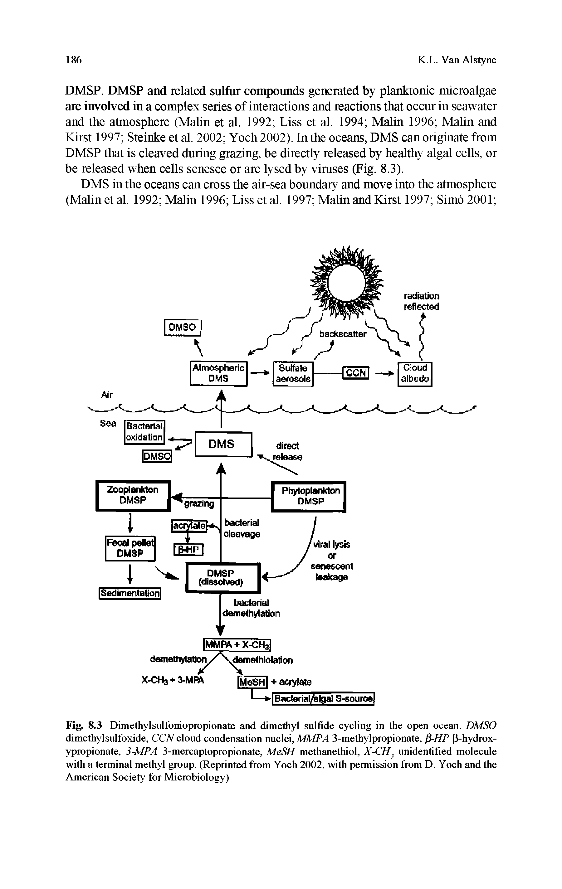 Fig. 8.3 Dimethylsulfoniopropionate and dimethyl sulfide cycling in the open ocean. DMSO dimethylsulfoxide, CCN cloud condensation nuclei, MMPA 3-methylpropionate, ji-HP (S-hydrox-ypropionate, 3-MPA 3-mercaptopropionate, MeSH methanethiol, X-CH unidentified molecule with a terminal methyl group. (Reprinted from Yoch 2002, with permission from D. Yoch and the American Society for Microbiology)...