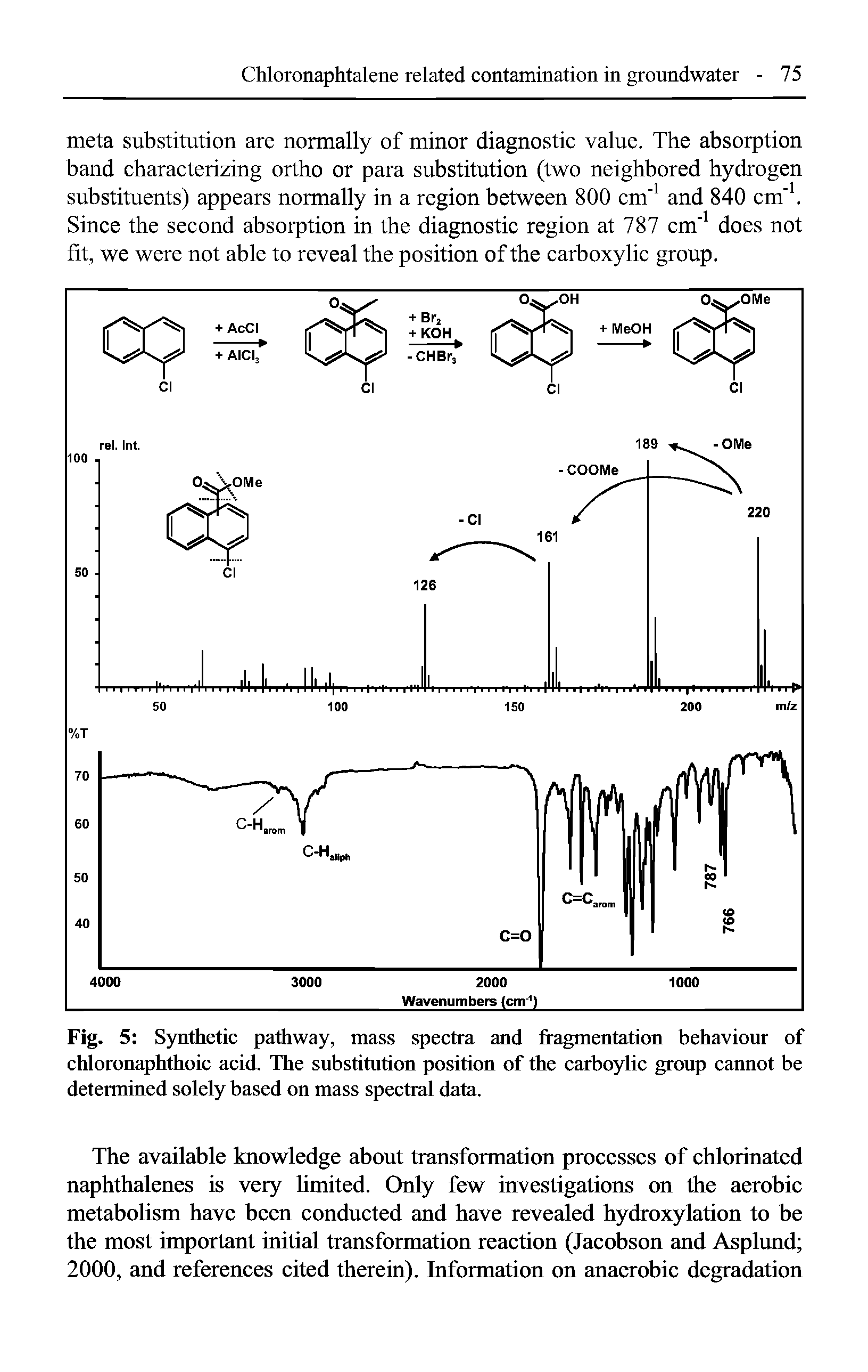Fig. 5 Synthetic pathway, mass spectra and fragmentation behaviour of chloronaphthoic acid. The substitution position of the carboylic group cannot be determined solely based on mass spectral data.