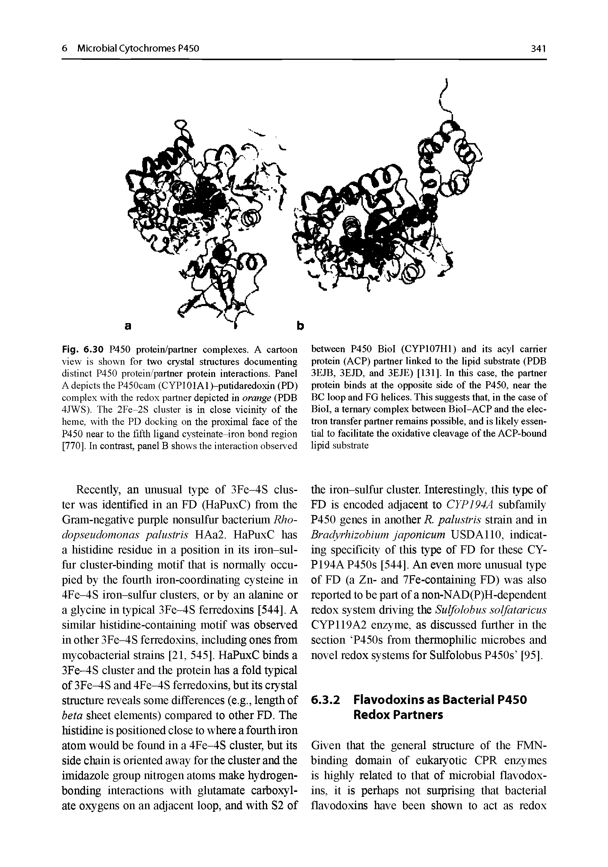 Fig. 6.30 P450 protein/partner complexes. A cartoon view is shown for two crystal structures documenting distinct P450 protein/partner protein interactions. Panel A depicts the P450cam (CYPIOIAI )-putidaredoxin (PD) complex with the redox partner depicted in orange (PDB 4JWS). The 2Fe-2S cluster is in close vicinity of the heme, with the PD docking on the proximal face of the P450 near to the fifth ligand cysteinate-iron bond region [770]. In contrast, panel B shows the interaction observed...