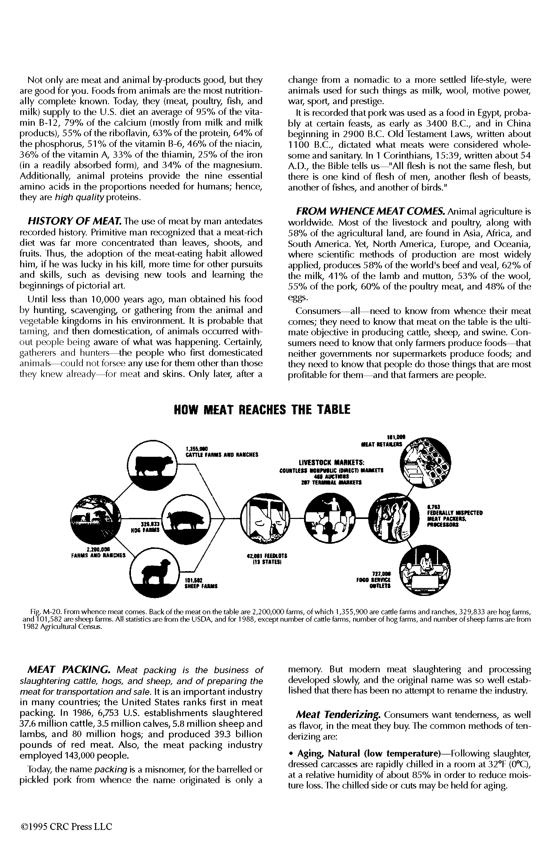 Fig. M-20. From whence meat comes. Back of the meat on the table are 2,200,000 farms, of which 1,355,900 are cattle farms and ranches, 329,833 are hog farms, and 101,582 are sheep farms. All statistics are from the USDA, and for 1988, except number of cattle farms, number of hog farms, and number of sheep farms are from 1982 Agricultural Census.