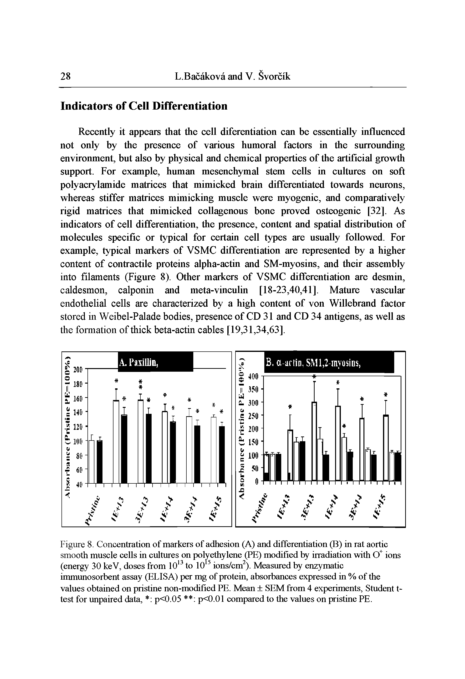 Figure 8. Concentration of markers of adhesion (A) and differentiation (B) in rat aortic smooth muscle cells in cultures on polyethylene (PE) modified by irradiation with ions (energy 30 keV, doses from lO to lO ions/cm ). Measured by enzymatic immunosorbent assay (ELISA) per mg of protein, absorbances expressed in % of the values obtained on pristine non-modified PE. Mean + SEM from 4 experiments. Student t-test for unpaired data, p<0.05 p<0.01 compared to the values on pristine PE.