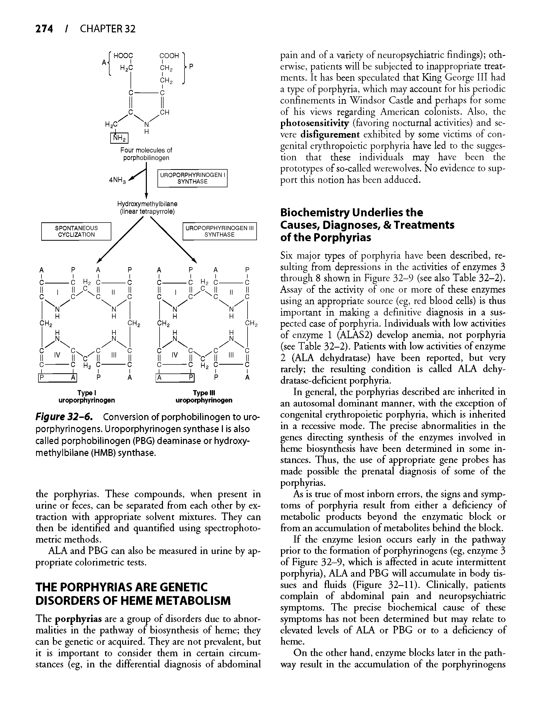 Figure 32-6. Conversion of porphobilinogen to uroporphyrinogens. Uroporphyrinogen synthase I is also called porphobilinogen (PBG) deaminase or hydroxy-methylbilane (HMB) synthase.