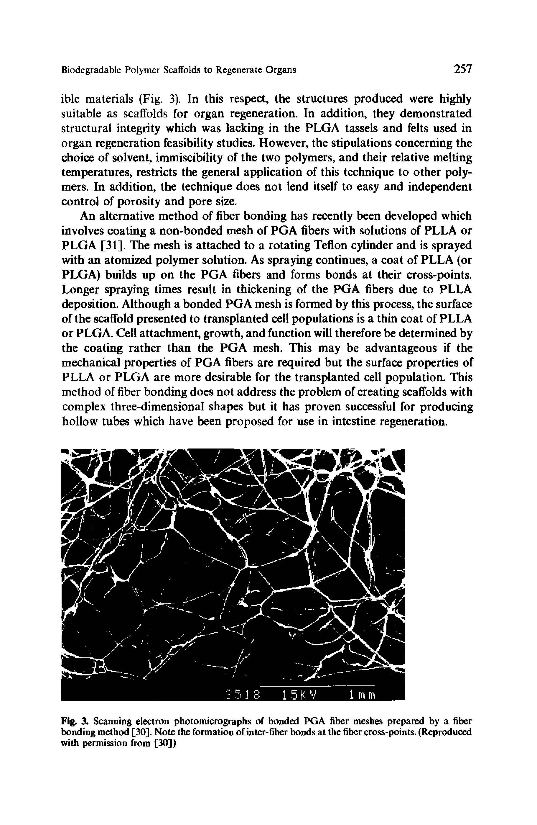 Fig. 3. Scanning electron photomicrographs of bonded PGA fiber meshes prepared by a fiber bonding method [30]. Note the formation of inter-fiber bonds at the fiber cross-points. (Reproduced with permission from [30])...