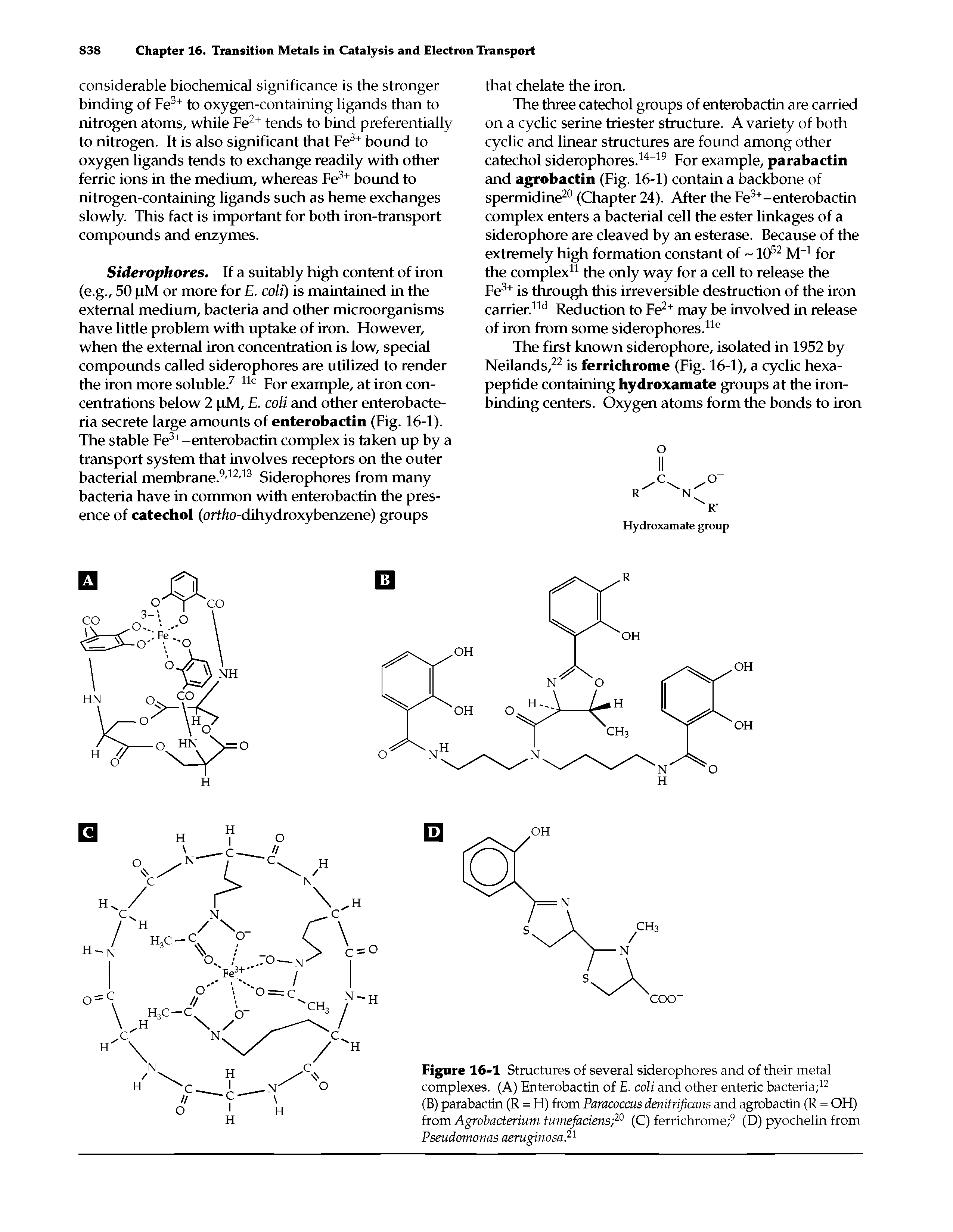 Figure 16-1 Structures of several siderophores and of their metal complexes. (A) Enterobactin of E. coli and other enteric bacteria ...