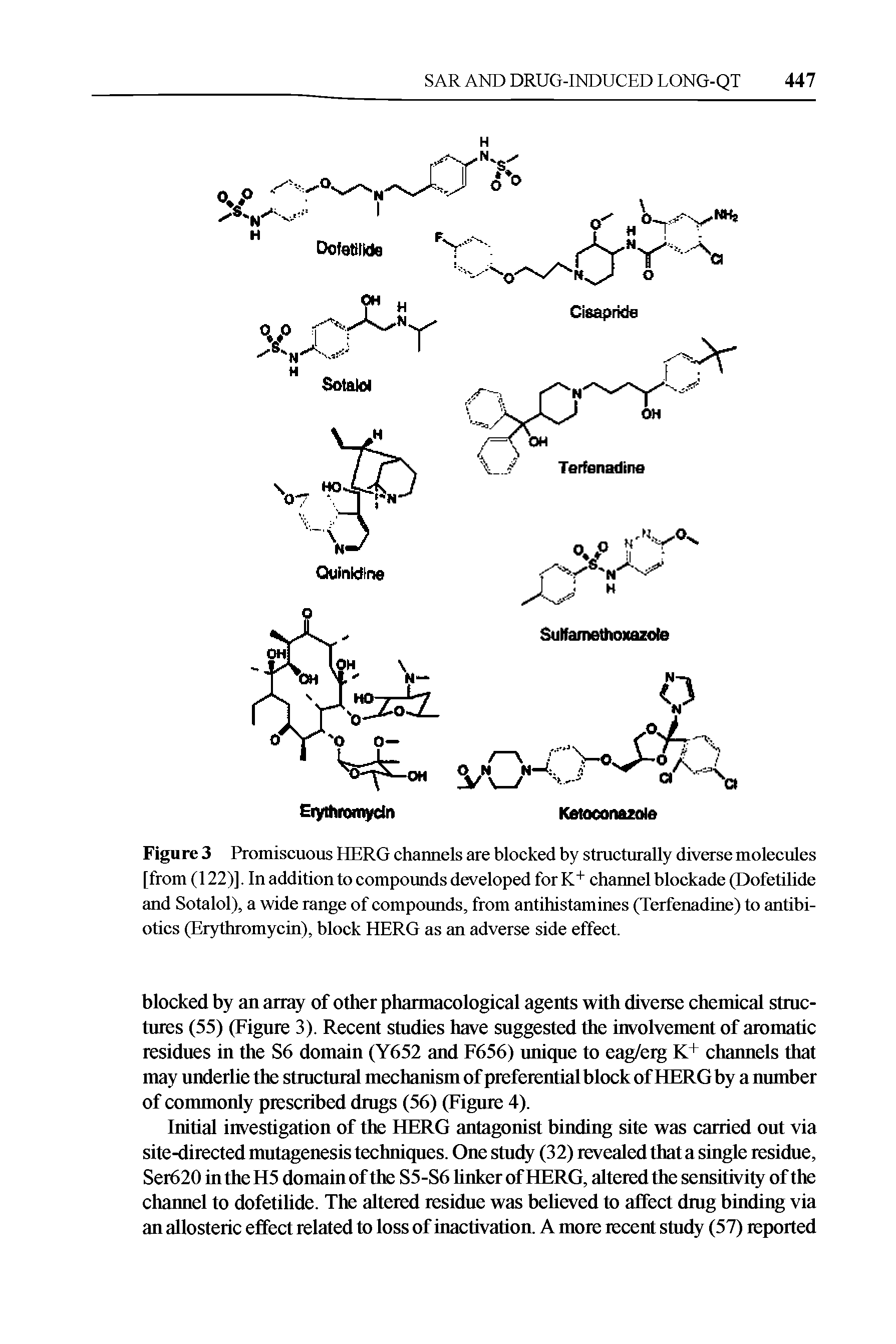 Figure 3 Promiscuous HERG channels are blocked by structurally diverse molecules [from (122)]. In addition to compounds developed for K+ channel blockade (Dofetilide and Sotalol), a wide range of compounds, from antihistamines (Terfenadine) to antibiotics (Erythromycin), block HERG as an adverse side effect.