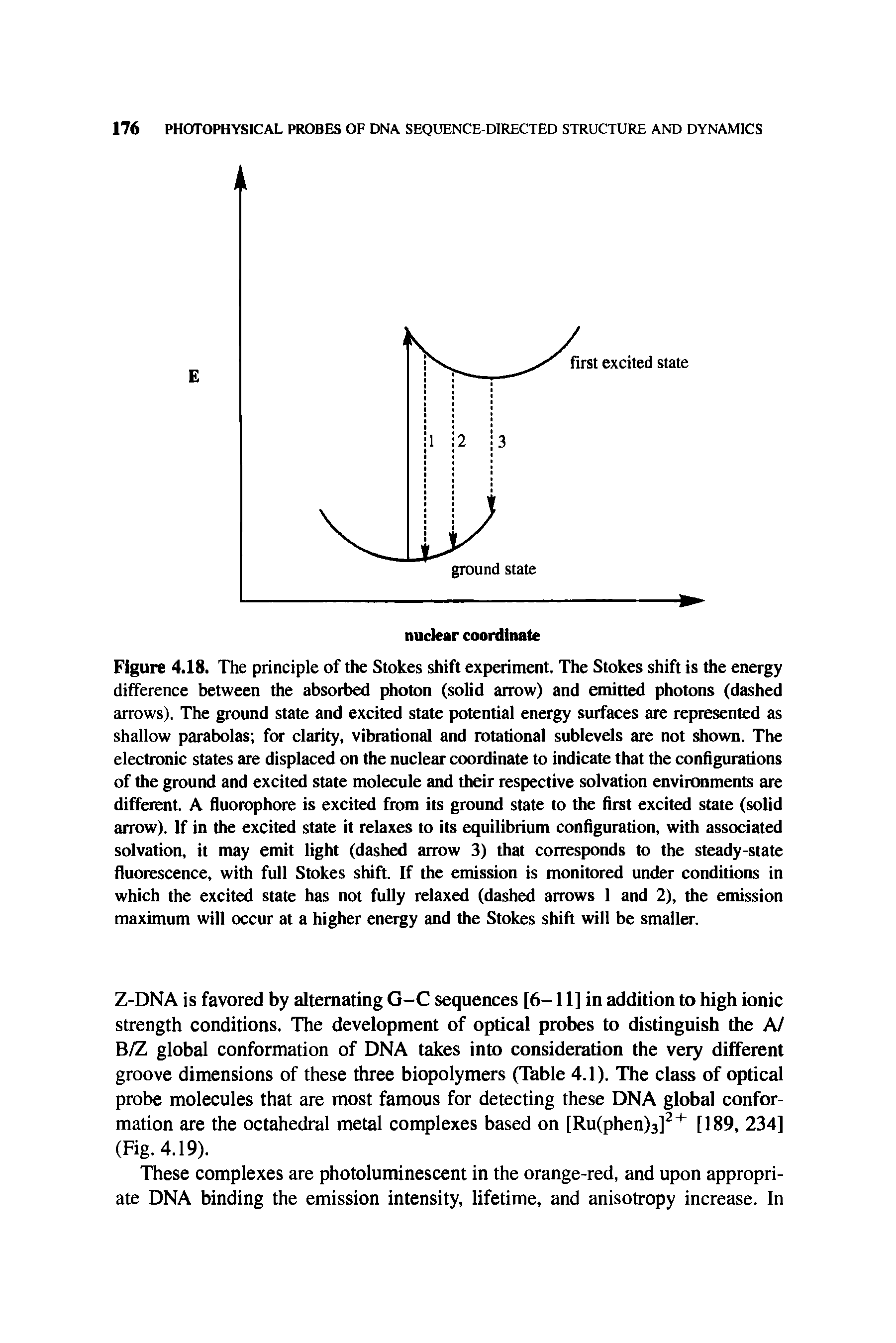 Figure 4.18. The principle of the Stokes shift experiment. The Stokes shift is the energy difference between the absorbed photon (solid arrow) and emitted photons (dashed arrows). The ground state and excited state jwtential energy surfaces are represented as shallow parabolas for clarity, vibrational and rotational sublevels are not shown. The electronic states are displaced on the nuclear coordinate to indicate that the configurations of the ground and excited state molecule and their respective solvation environments are different. A fluorophore is excited from its ground state to the first excited state (solid arrow). If in the excited state it relaxes to its equilibrium configuration, with associated solvation, it may emit light (dashed arrow 3) that corresponds to the steady-state fluorescence, with full Stokes shift. If the emission is monitored under conditions in which the excited state has not fully relaxed (dashed arrows 1 and 2), the emission maximum will occur at a higher energy and the Stokes shift will be smaller.