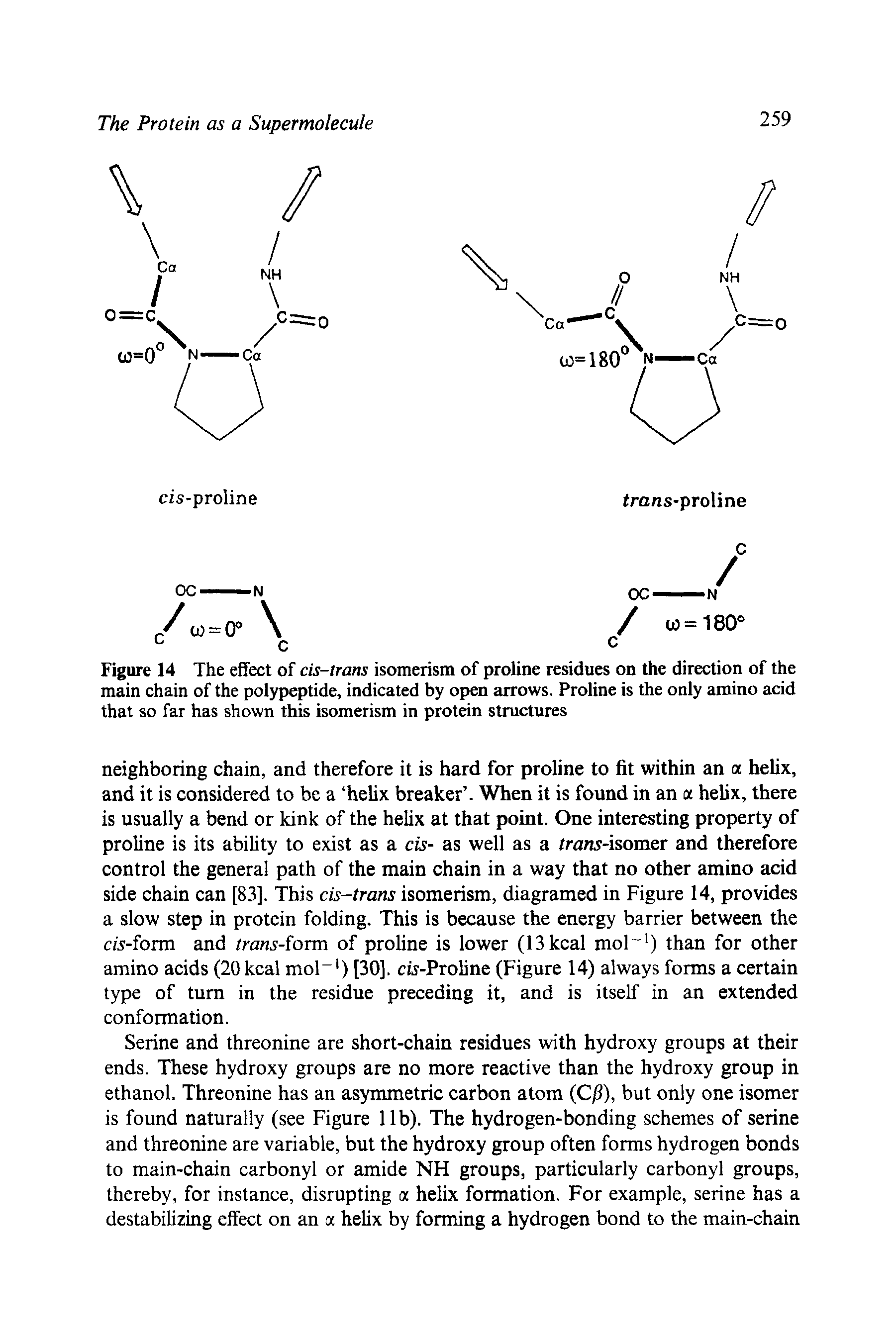 Figure 14 The effect of cis-irans isomerism of proline residues on the direction of the main chain of the poljrpeptide, indicated by open arrows. Proline is the only amino acid that so far has shown this isomerism in protein structures...