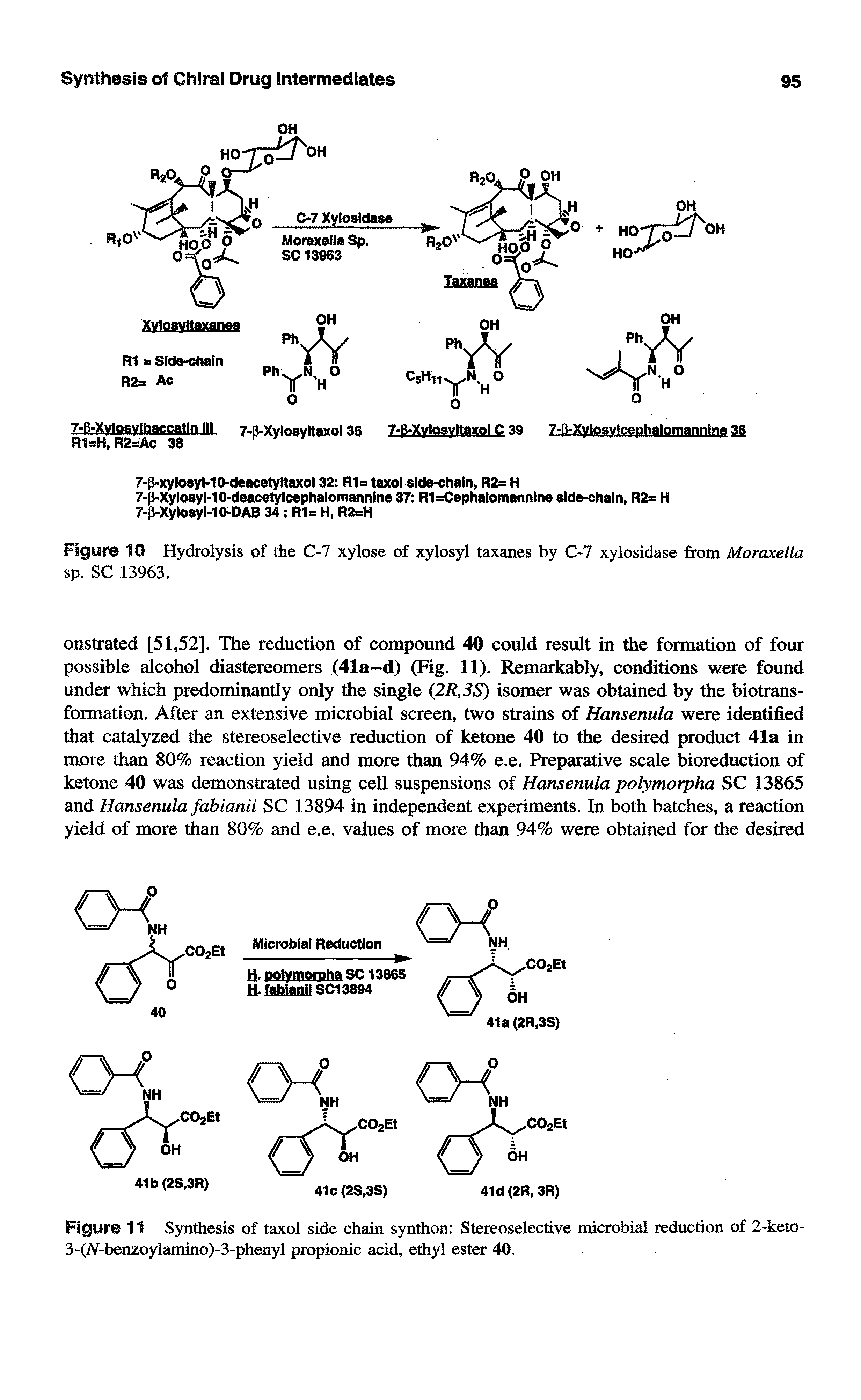 Figure 11 Synthesis of taxol side chain synthon Stereoselective microbial reduction of 2-keto-3-(iV-benzoylamino)-3-phenyl propionic acid, ethyl ester 40.