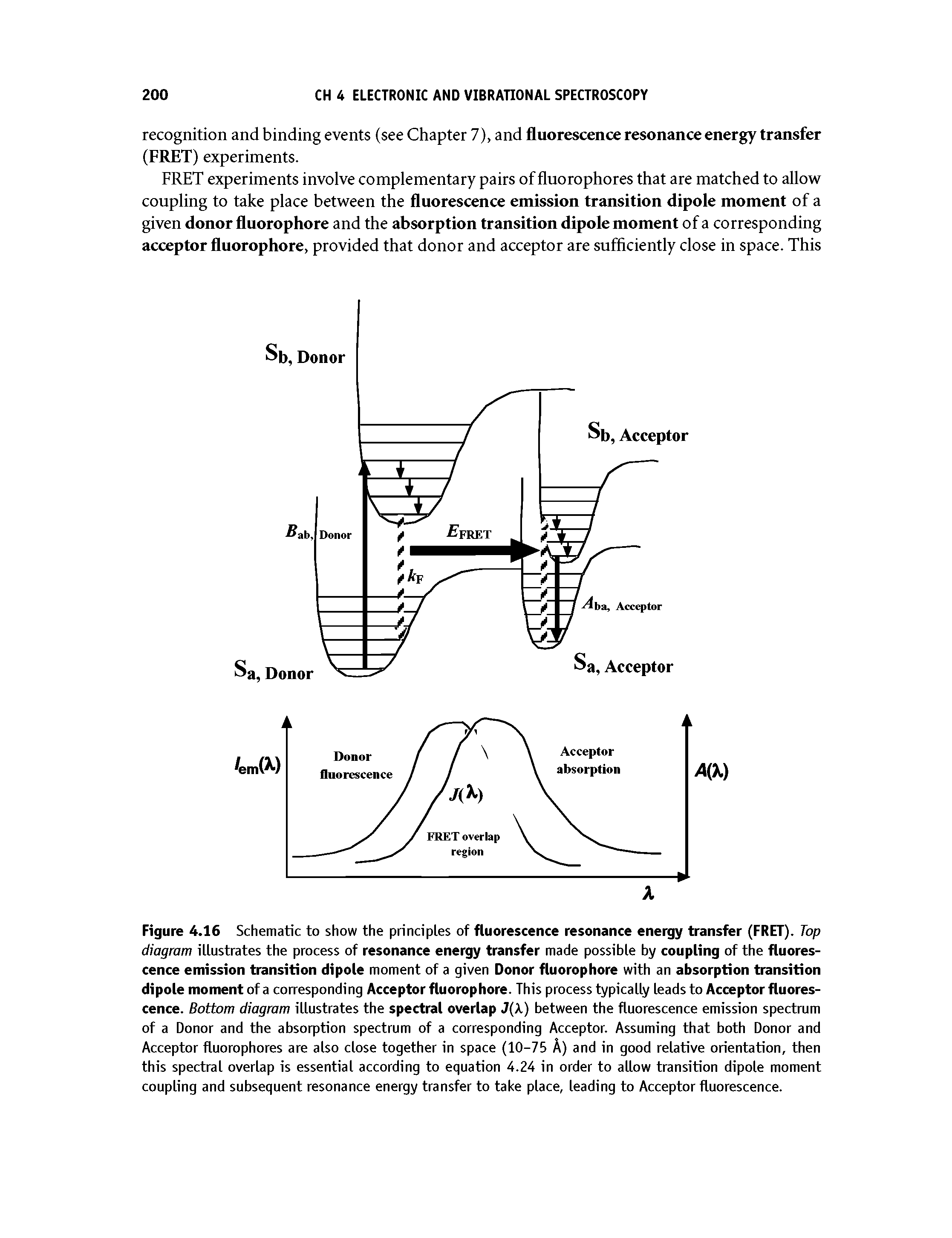 Figure 4.16 Schematic to show the principles of fluorescence resonance energy transfer (FRET). Top...